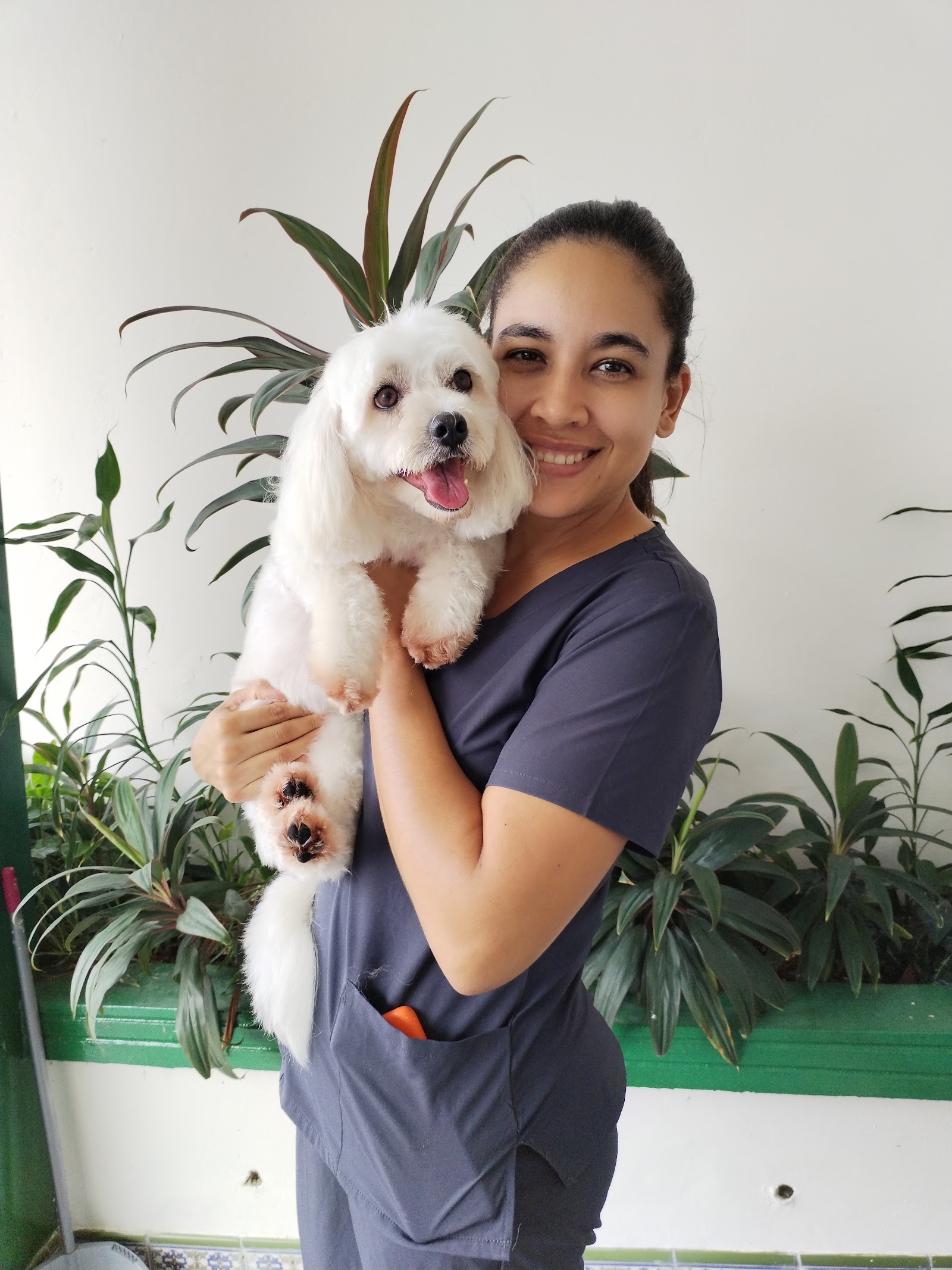 Bobbi Pets