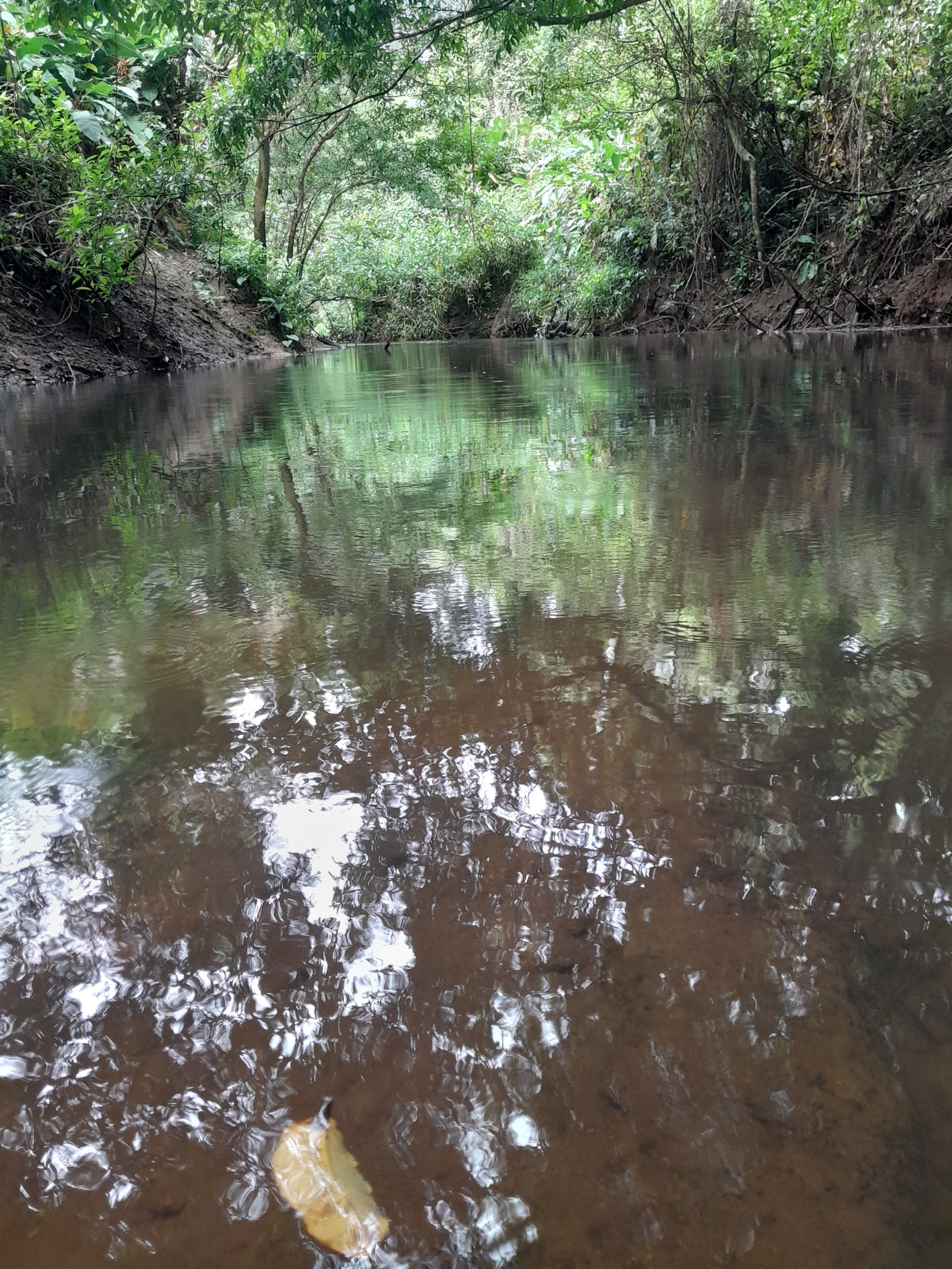 Finca Don & Chavela