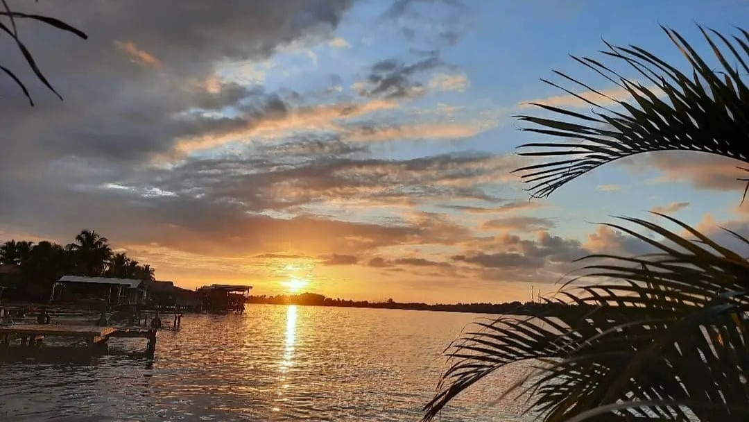 Bocas Properties
