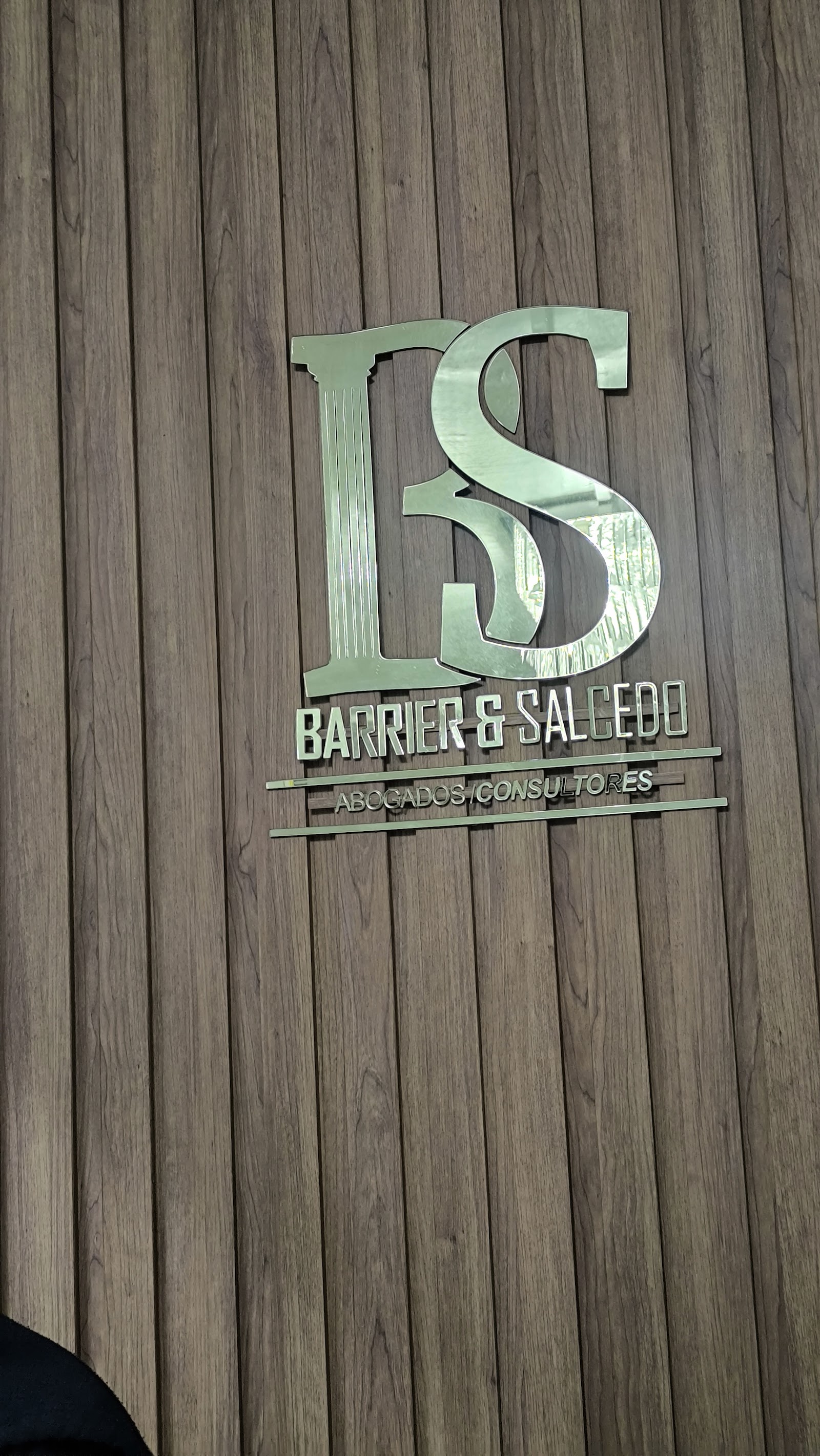 Barrier,Salcedo&Chen Abogados