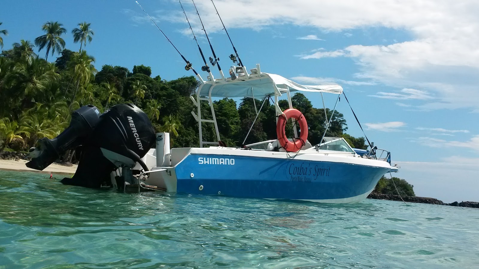 Pacific Adventure Tours