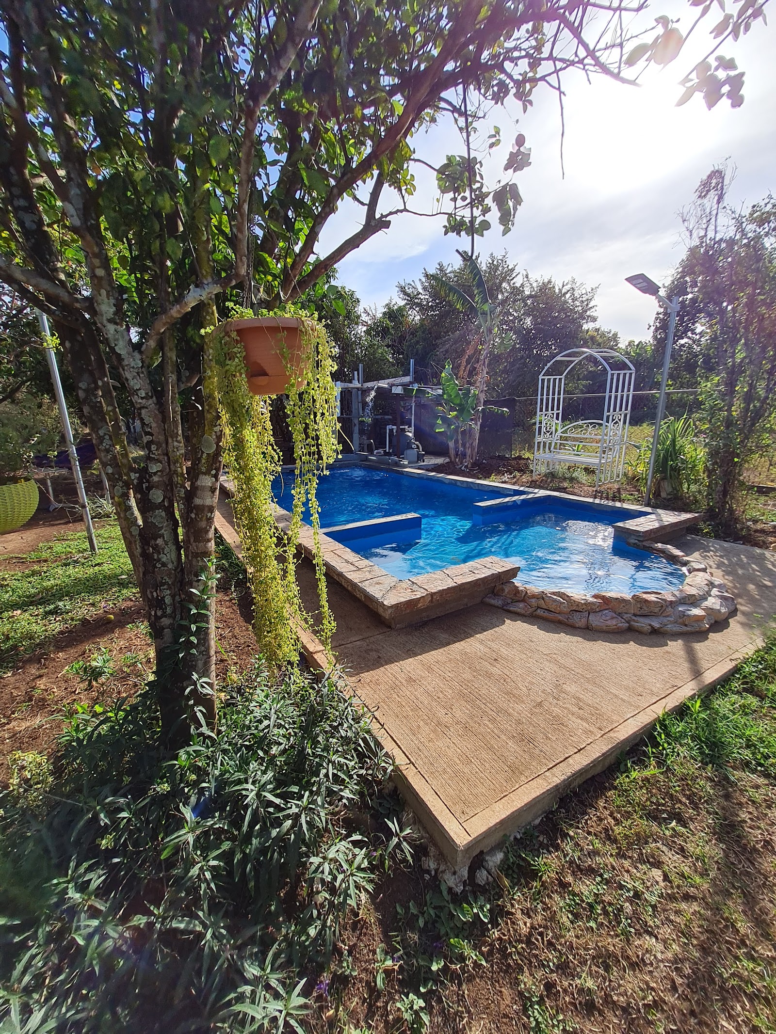 Resort Pool Max