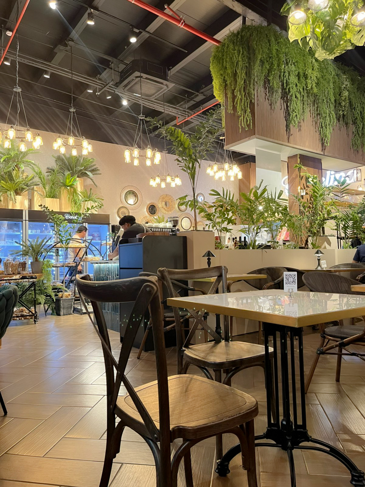 Carolina Gourmet Chorrera