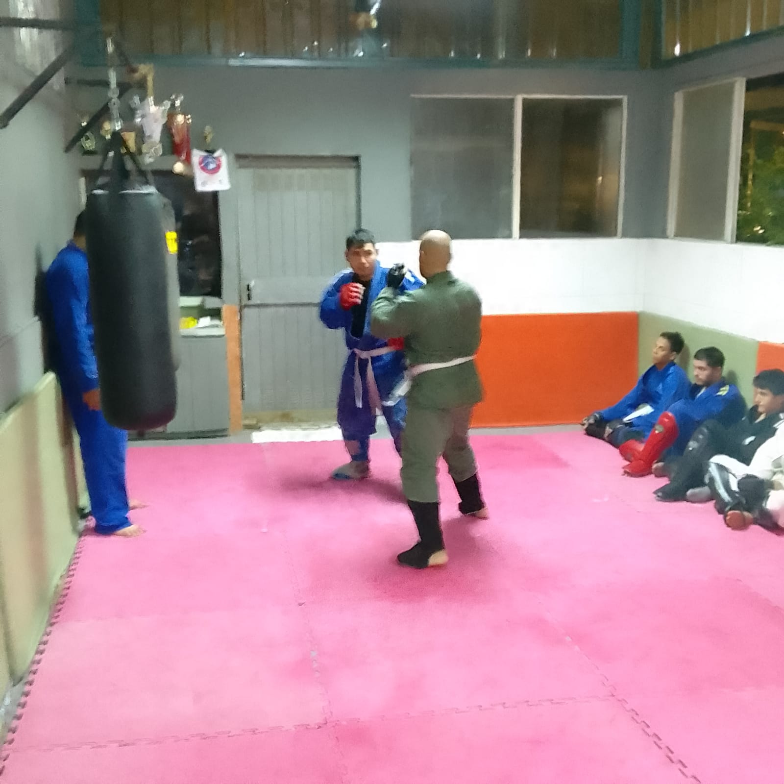 Dojo Bushido.MMA