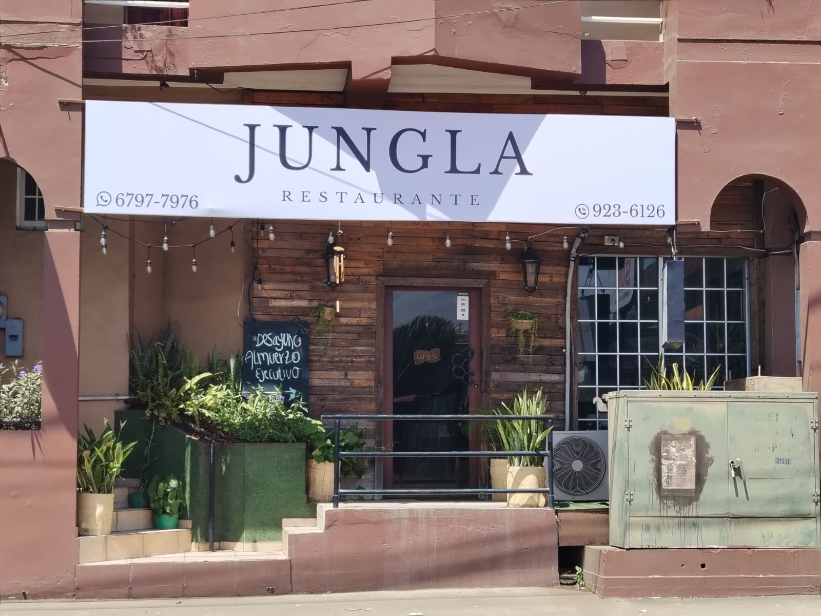 Jungla