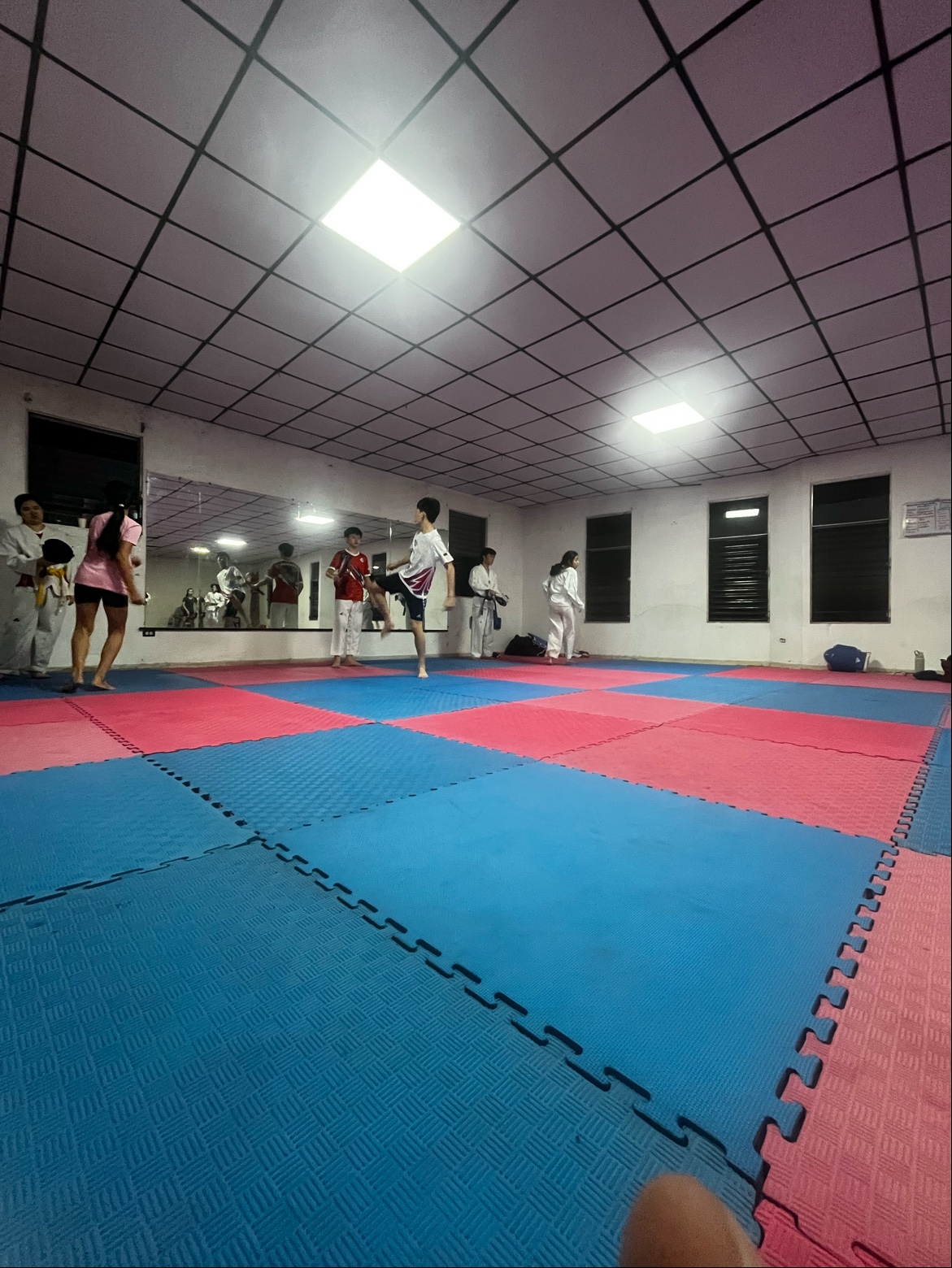 Academia De Taekwondo Leones