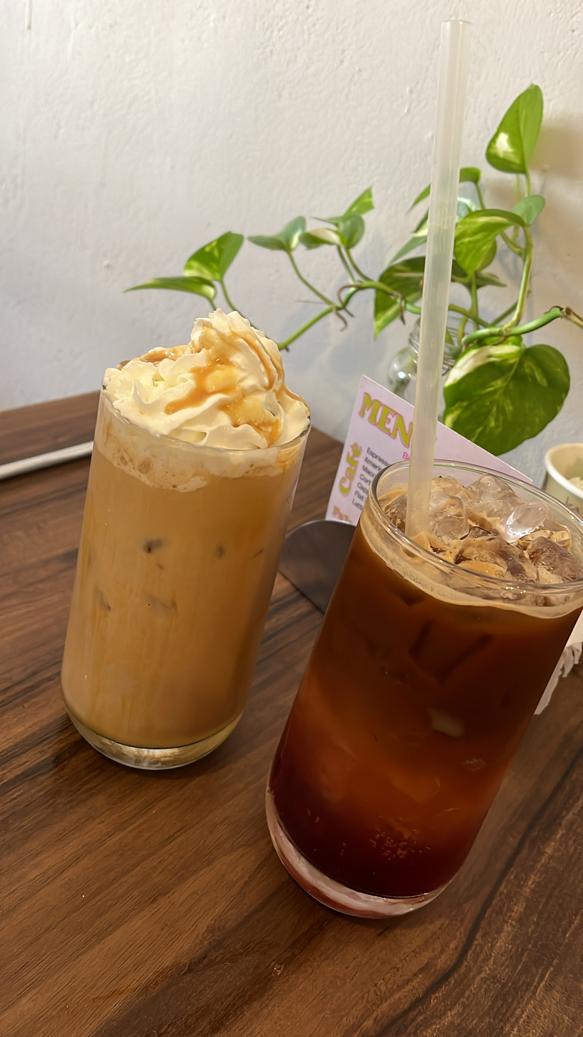 TRIBU BREW Co.