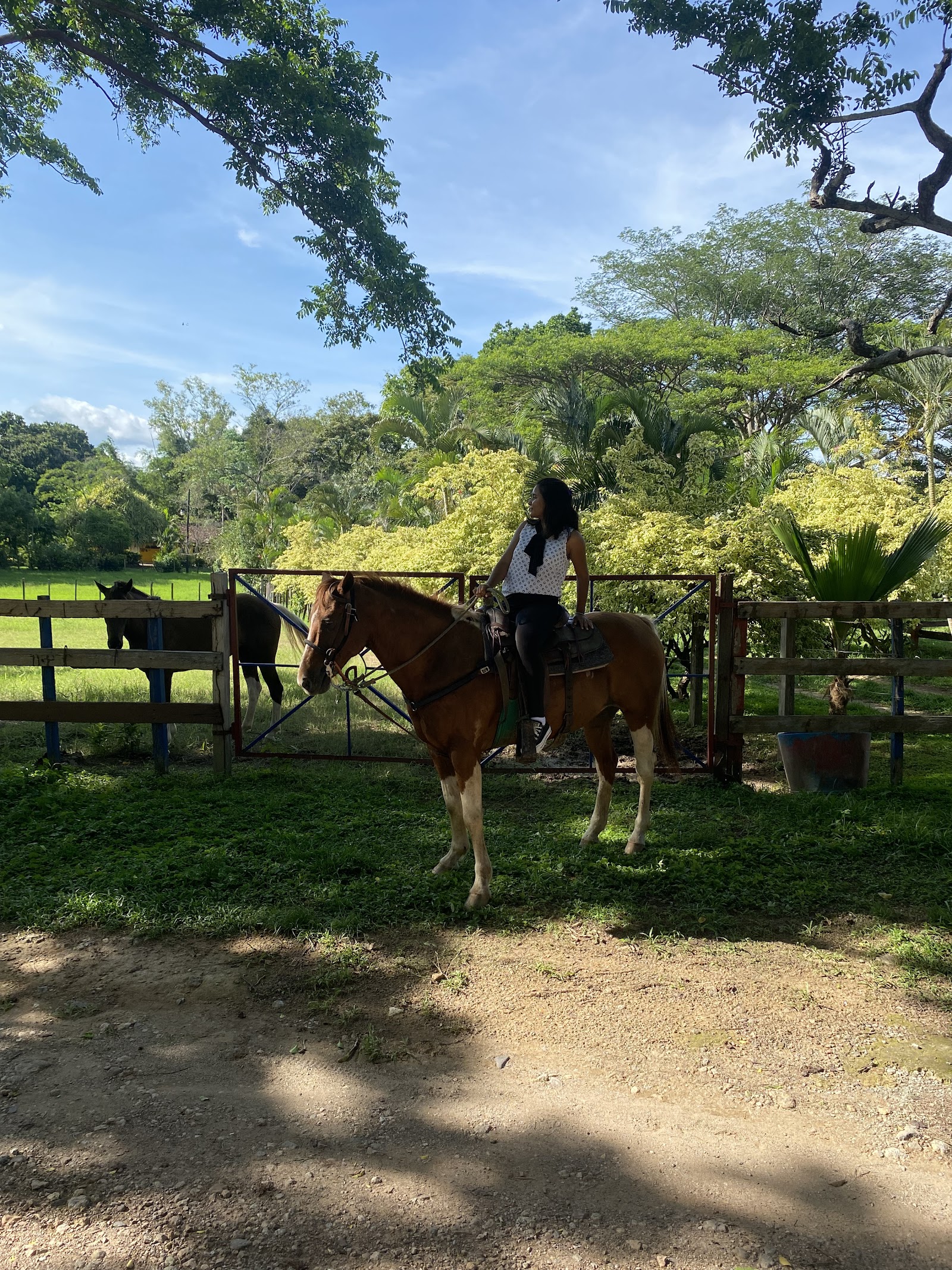 FINCA VALLE ALEGRE