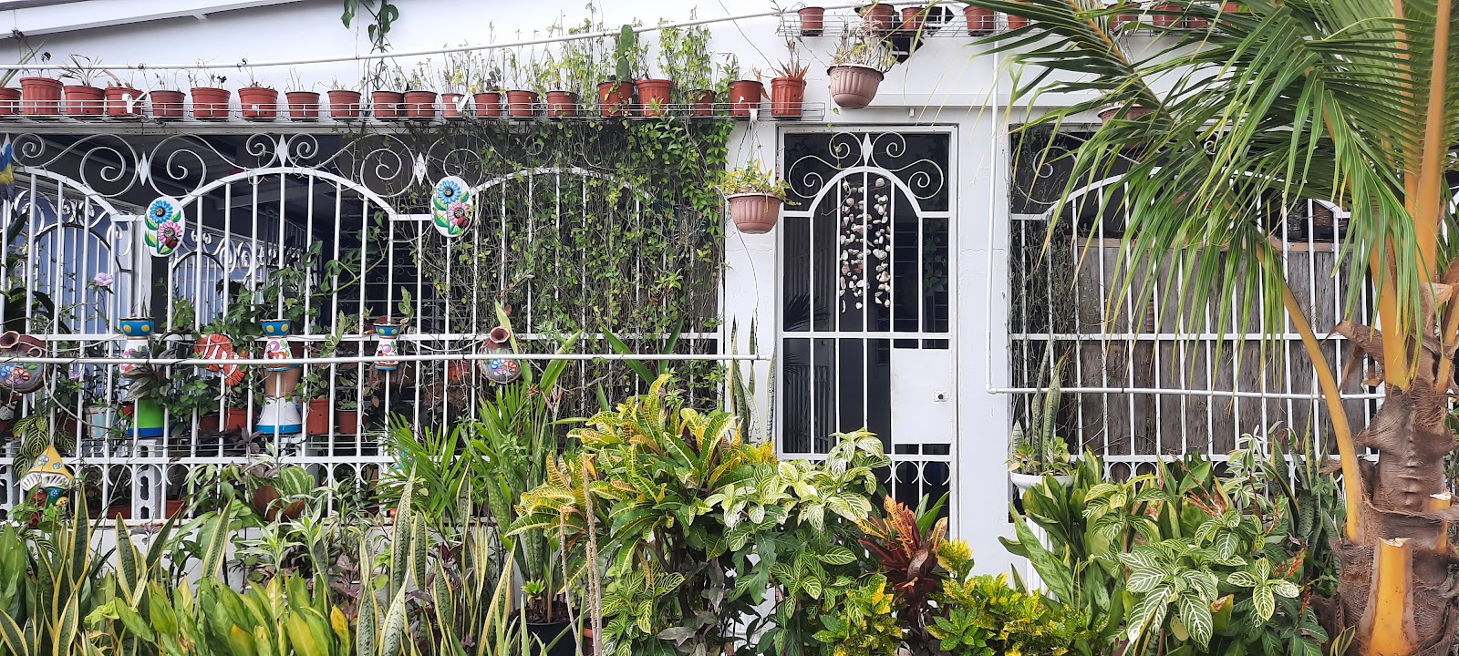 The Tourist Center of Certified Guided Tours of Panama