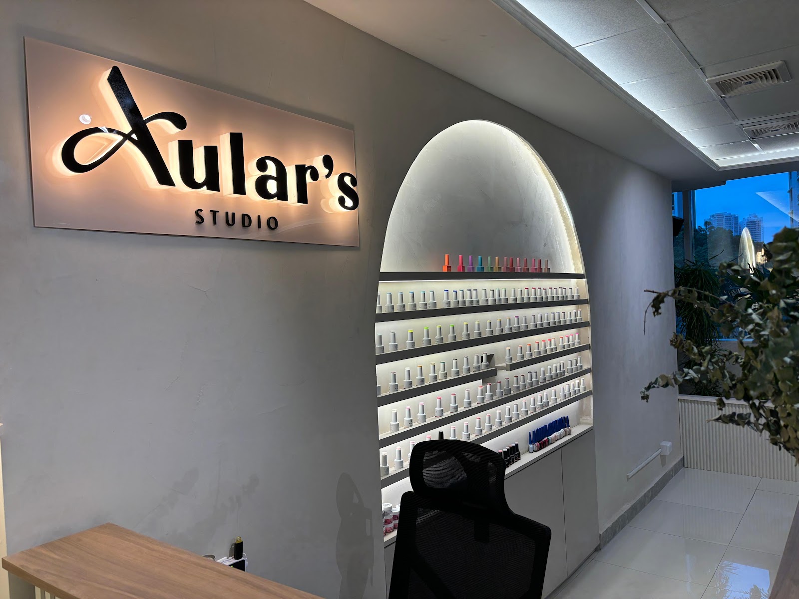 Aular's Studio