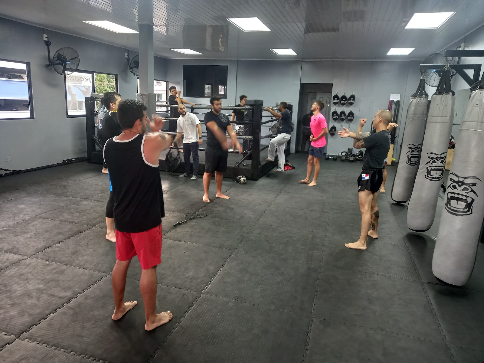 Dynamite Academy