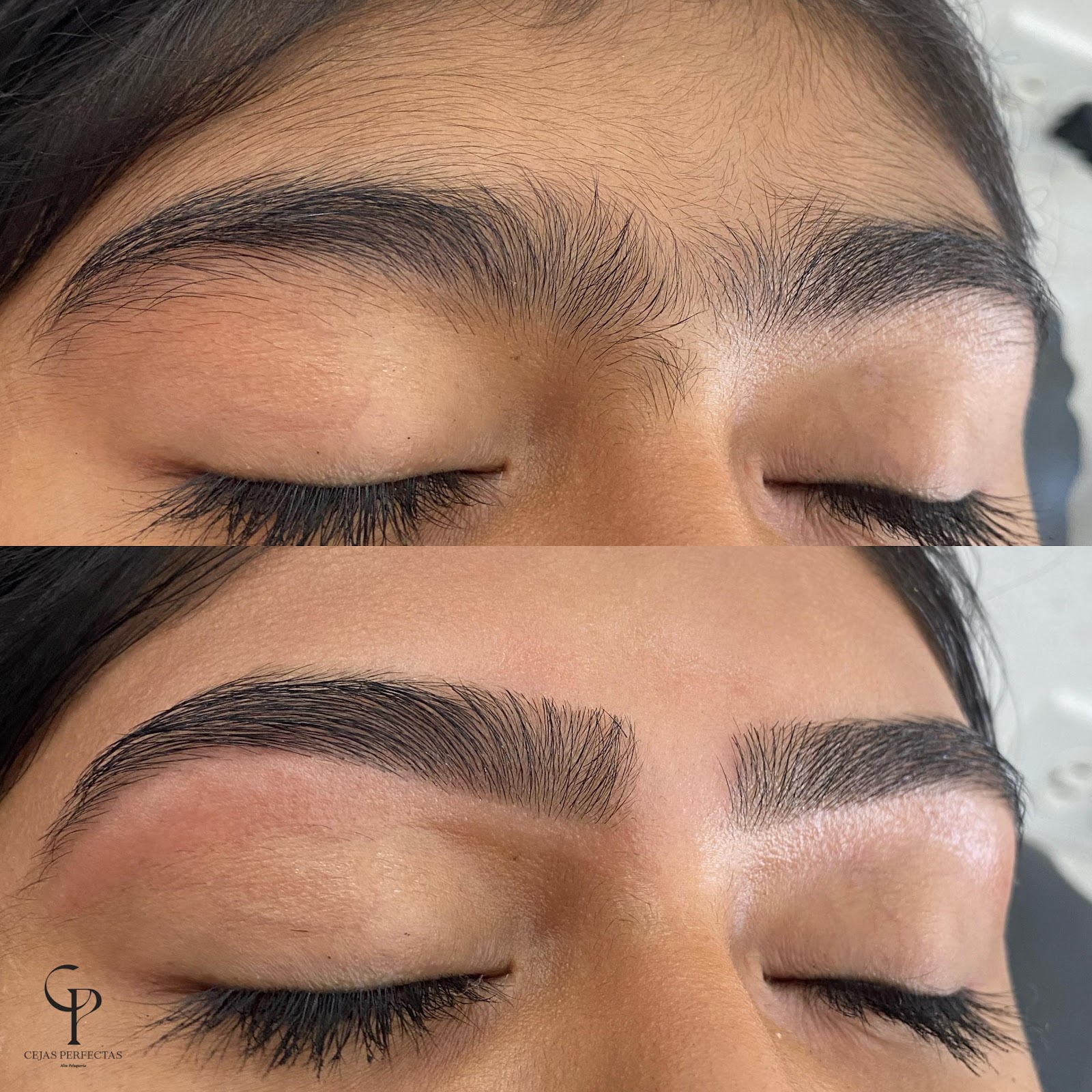 Cejas Perfectas Chiriquí
