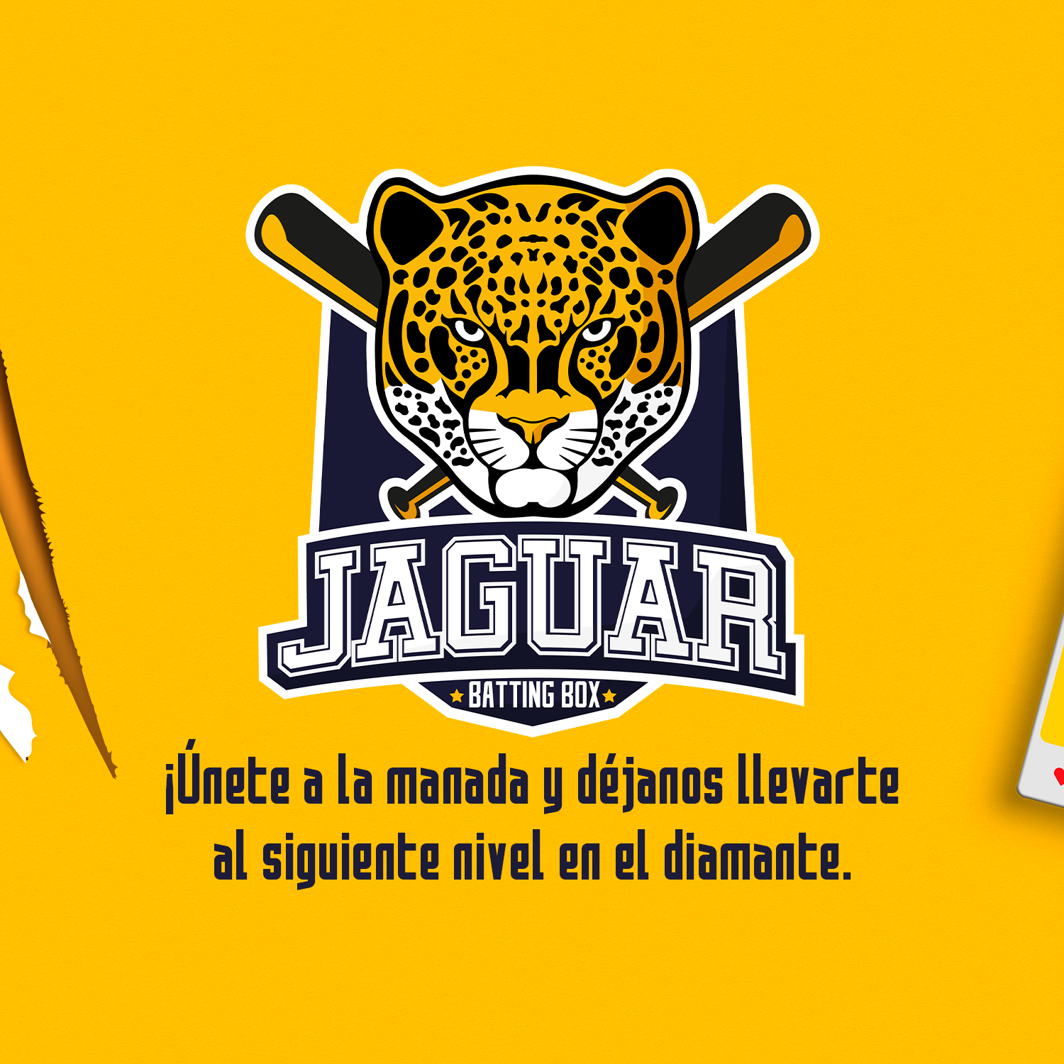Jaguar Batting Box Aguadulce