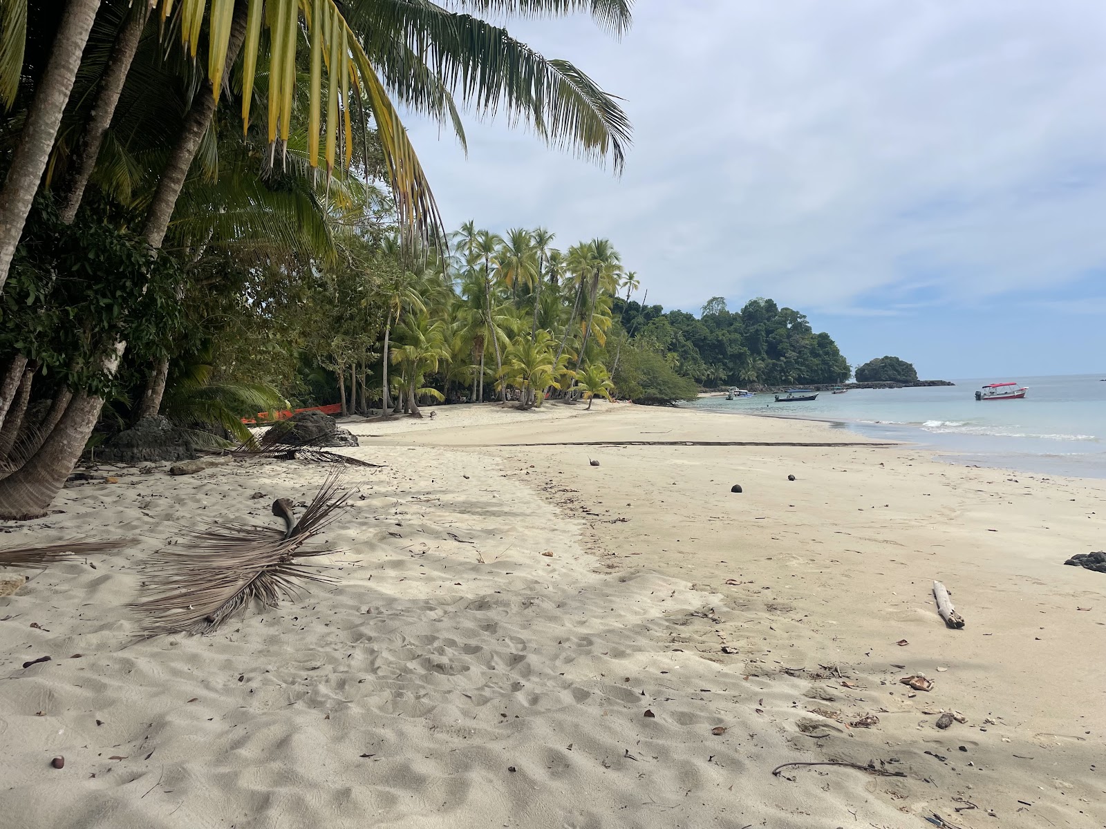 Aventuras Coiba