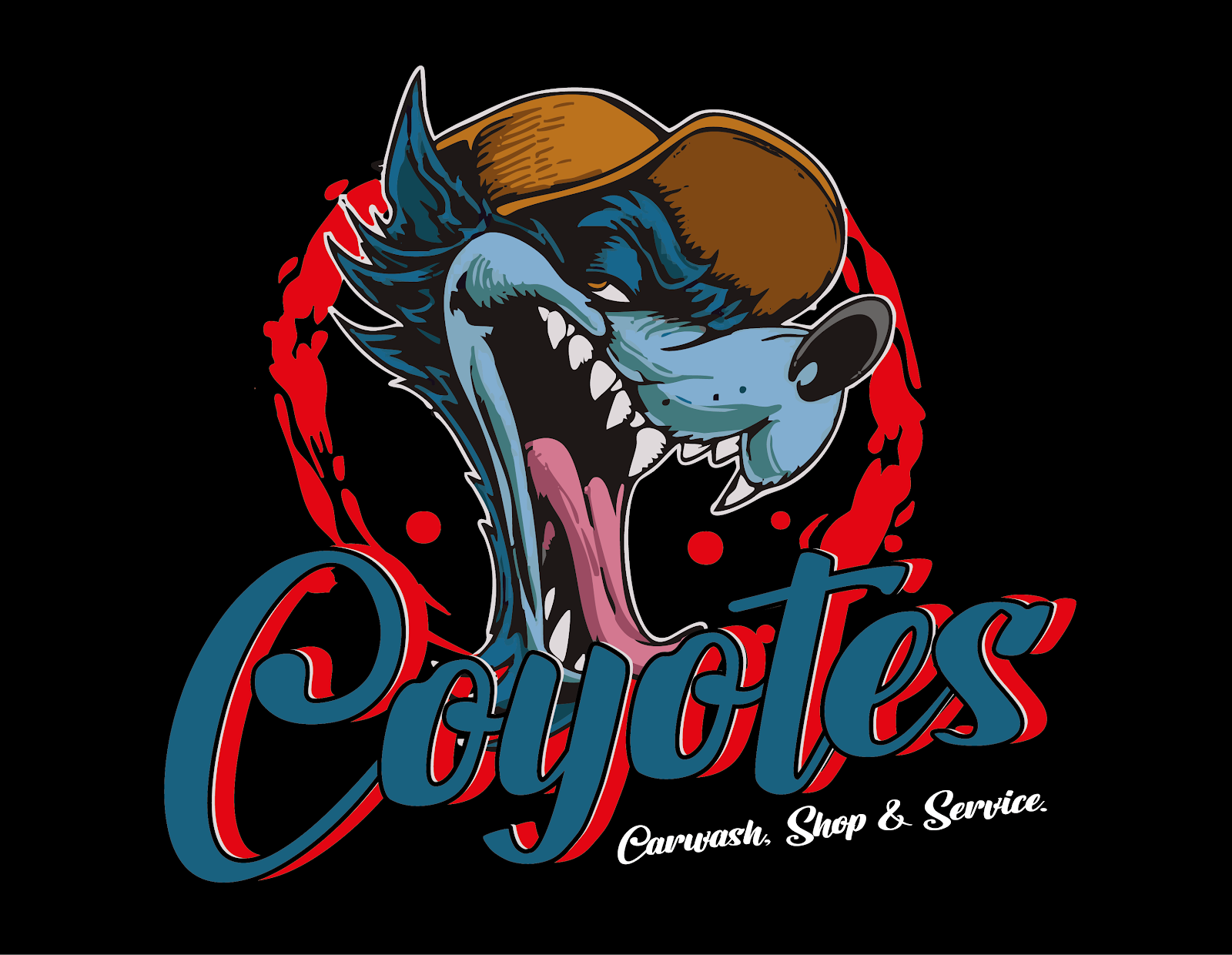 Coyotescarwash
