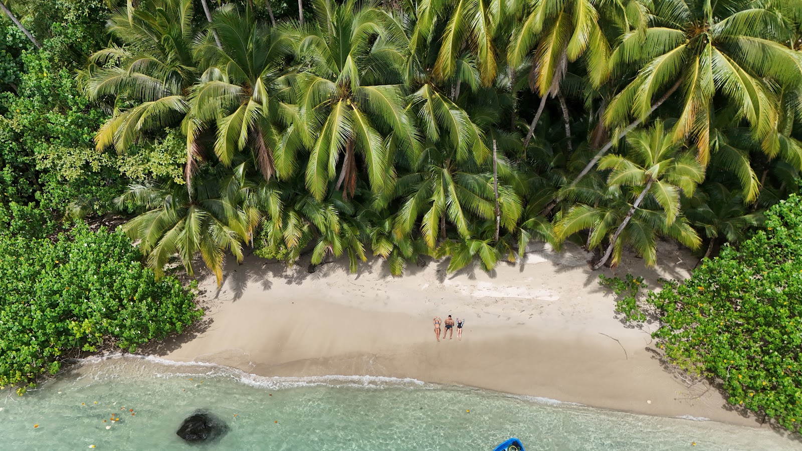 Panama Eco Explorers