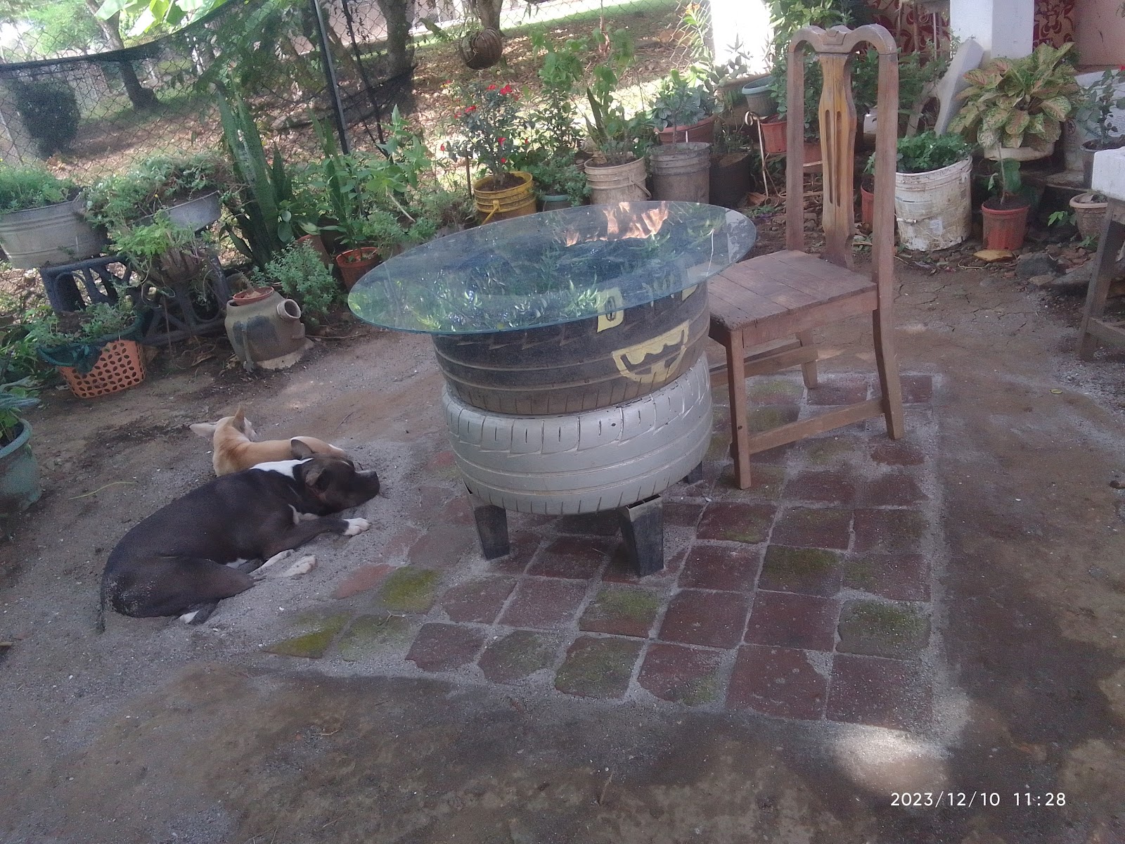 Zona