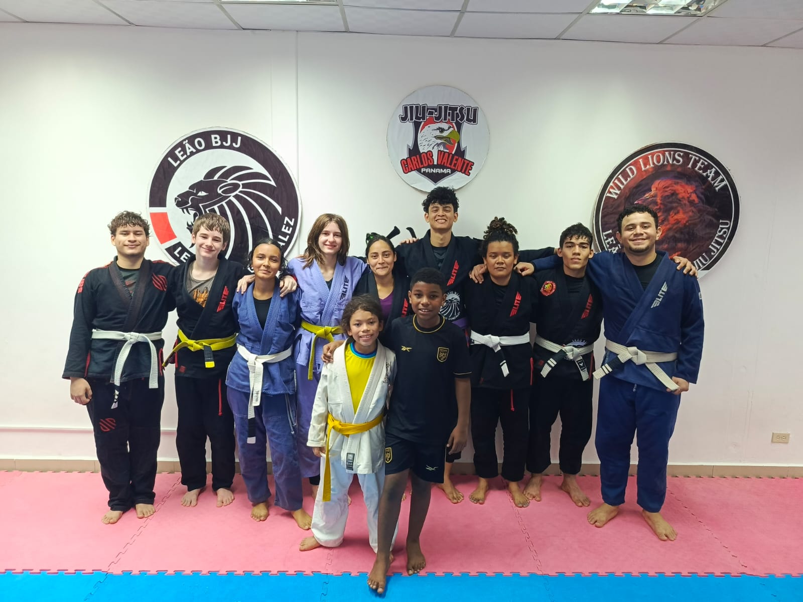 Academia Leão BJJ de jiu jitsu brasileño David Centro