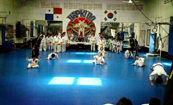 Hapkido Águila Harpia Panamá