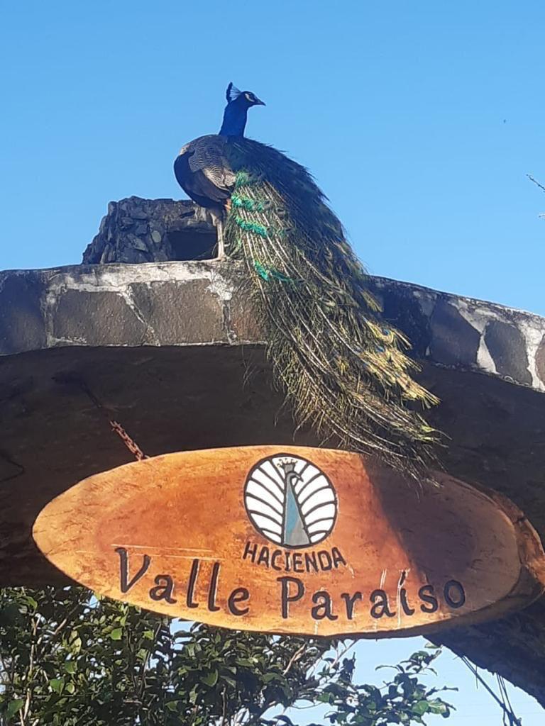 Hacienda Valle Paraiso