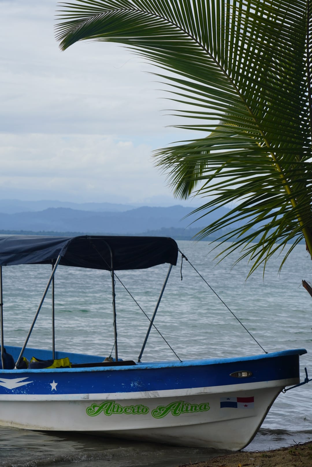 Transporte - Amir Forchiney Aqua Tours