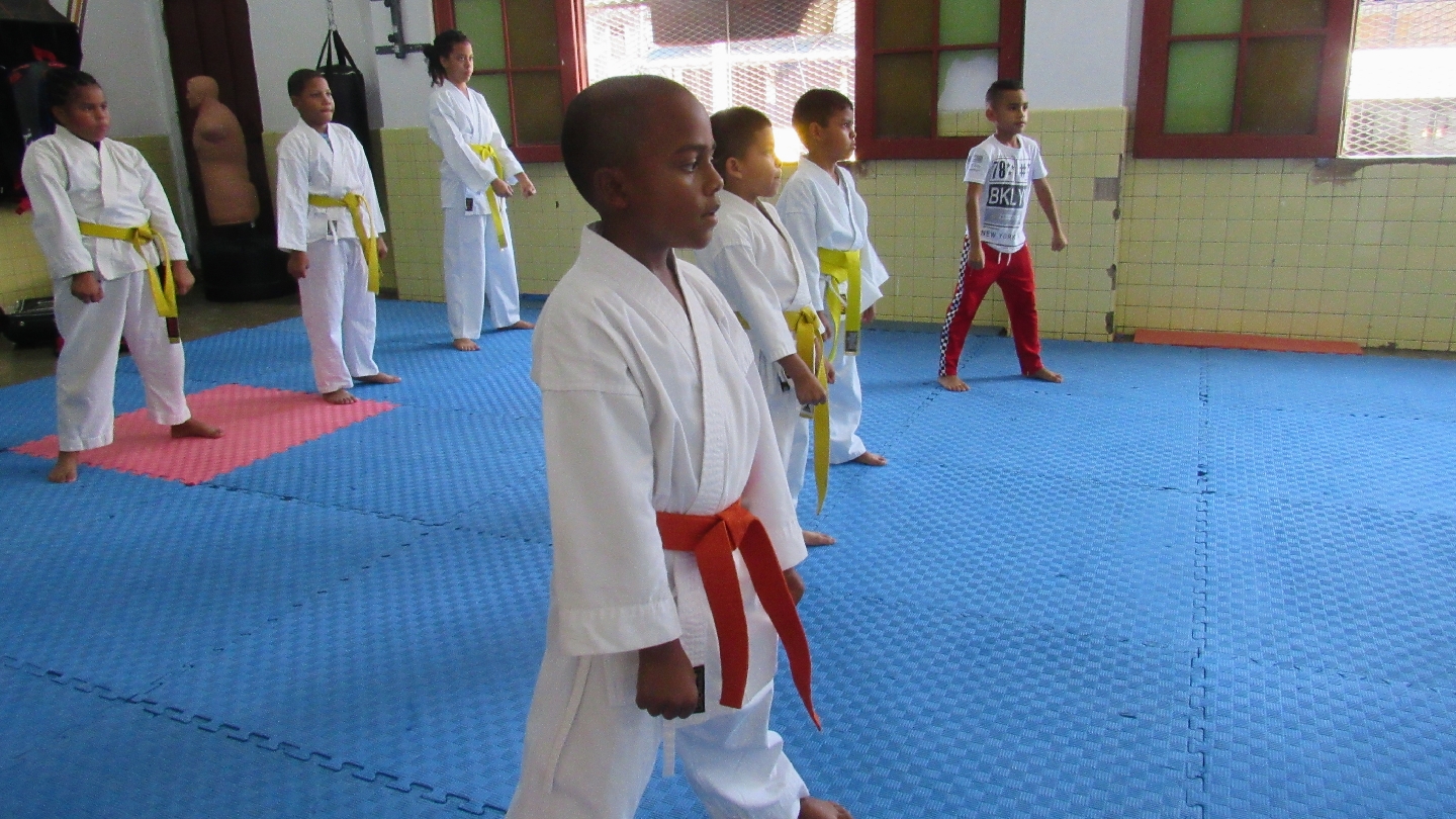 Dai-Ichi Karate Kai Colón