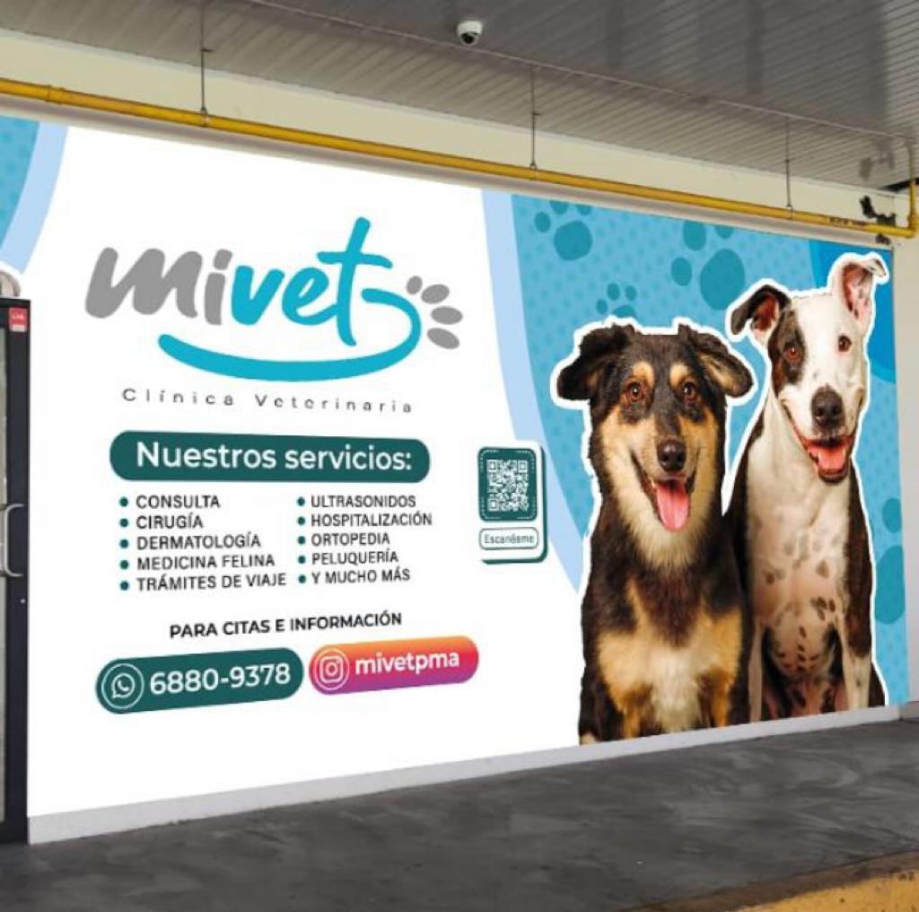 MiVet Clínica Veterinaria