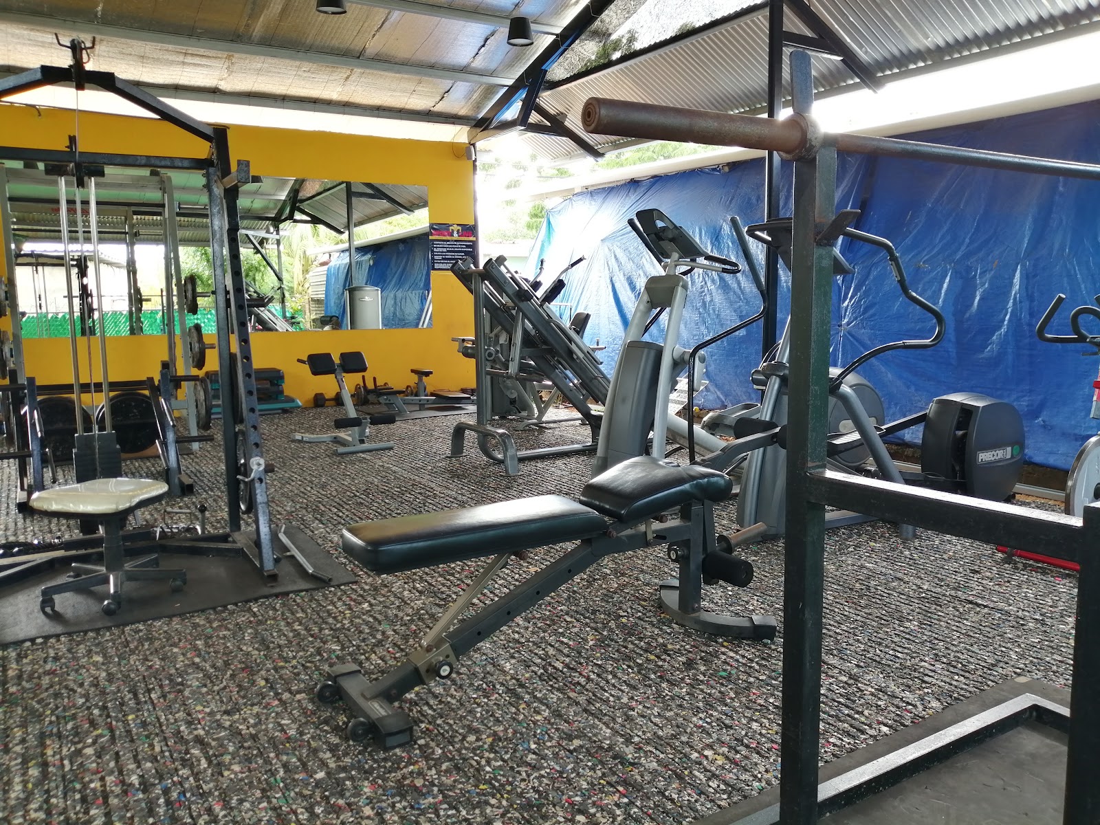 Sport & Live Gym