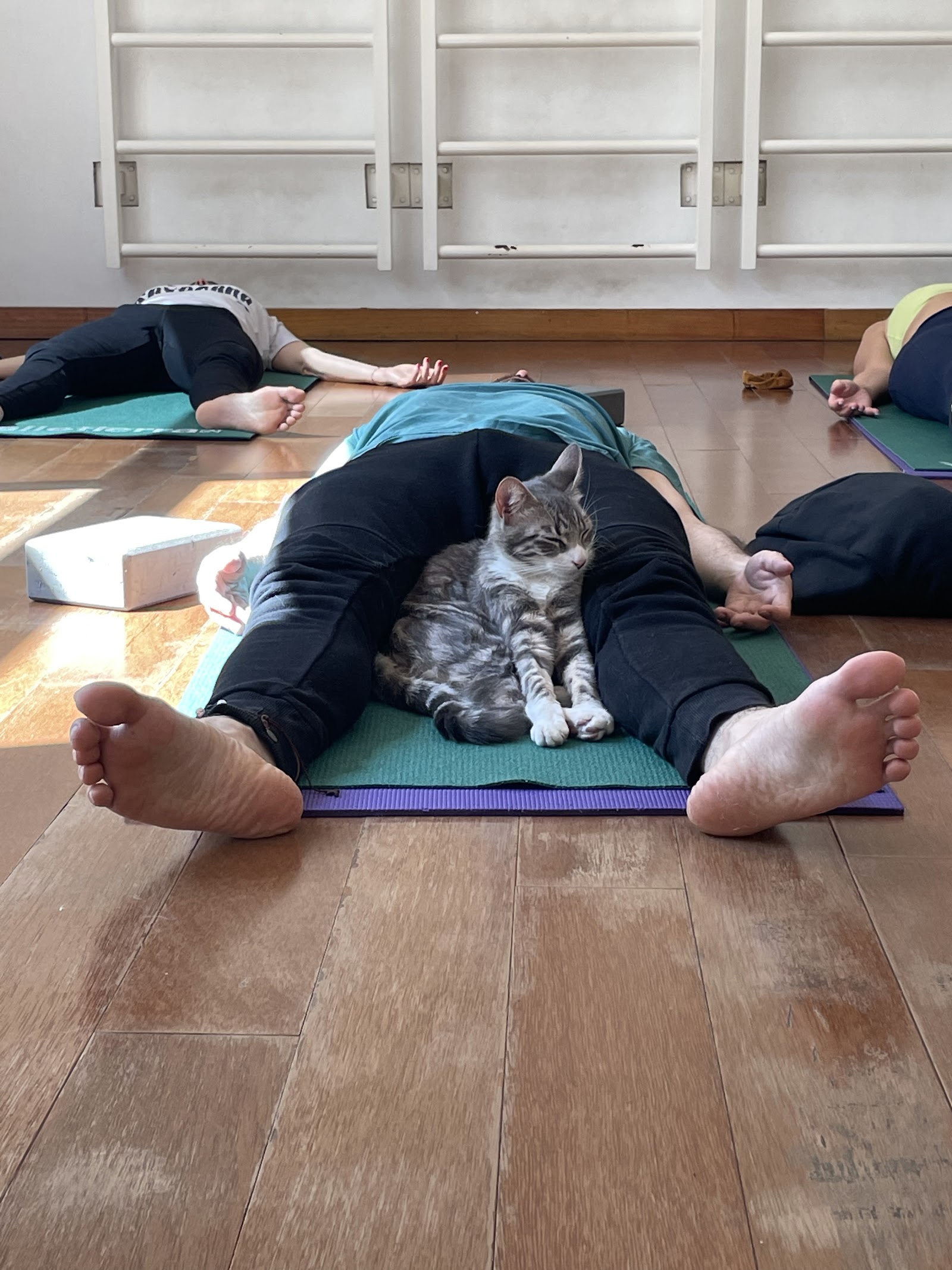 Yoga Thai Massage