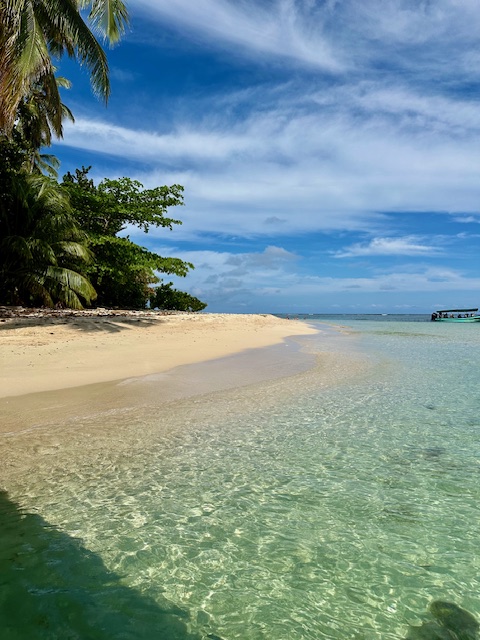 Bocas Destination