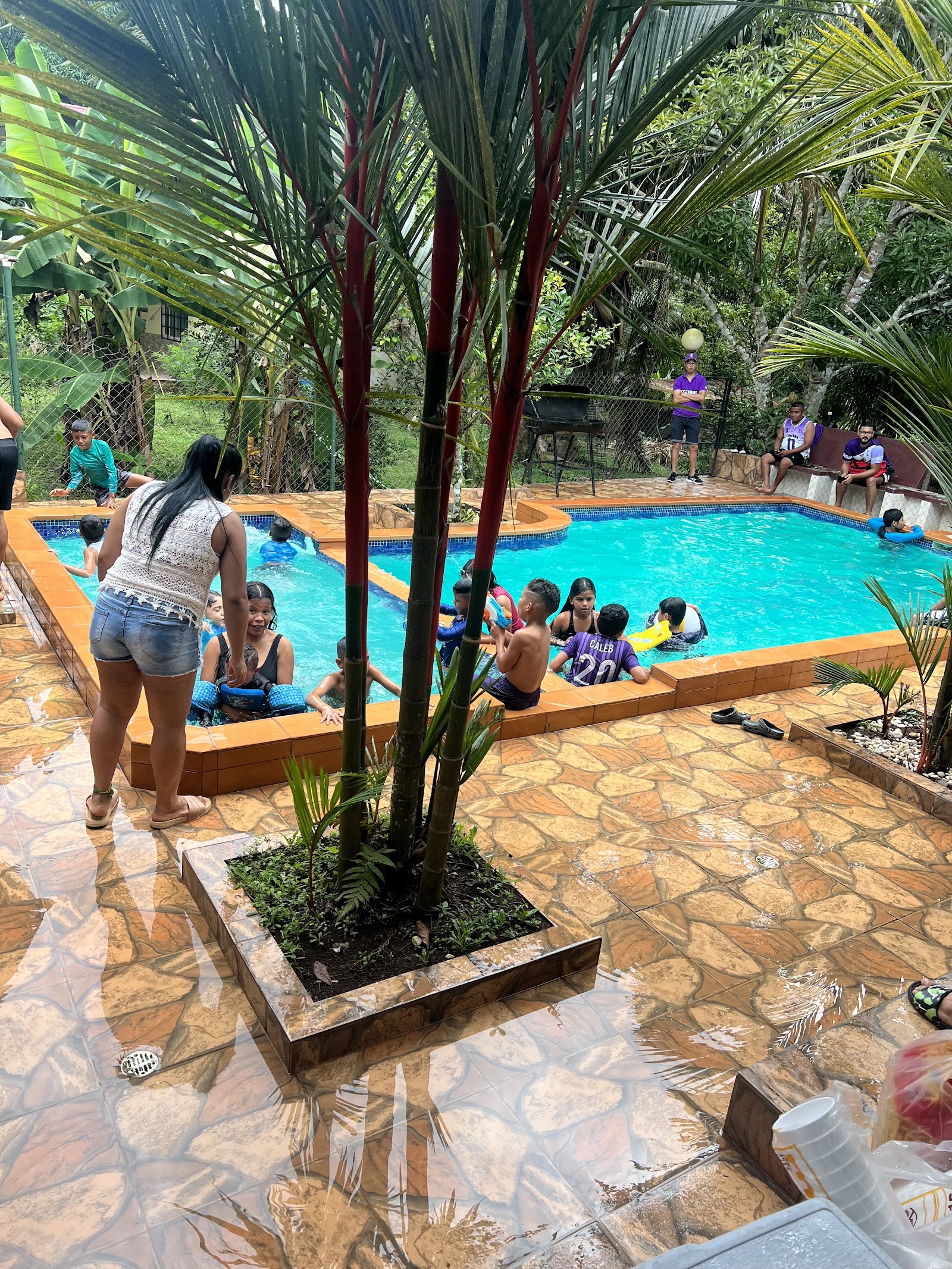 Piscina de Vicente