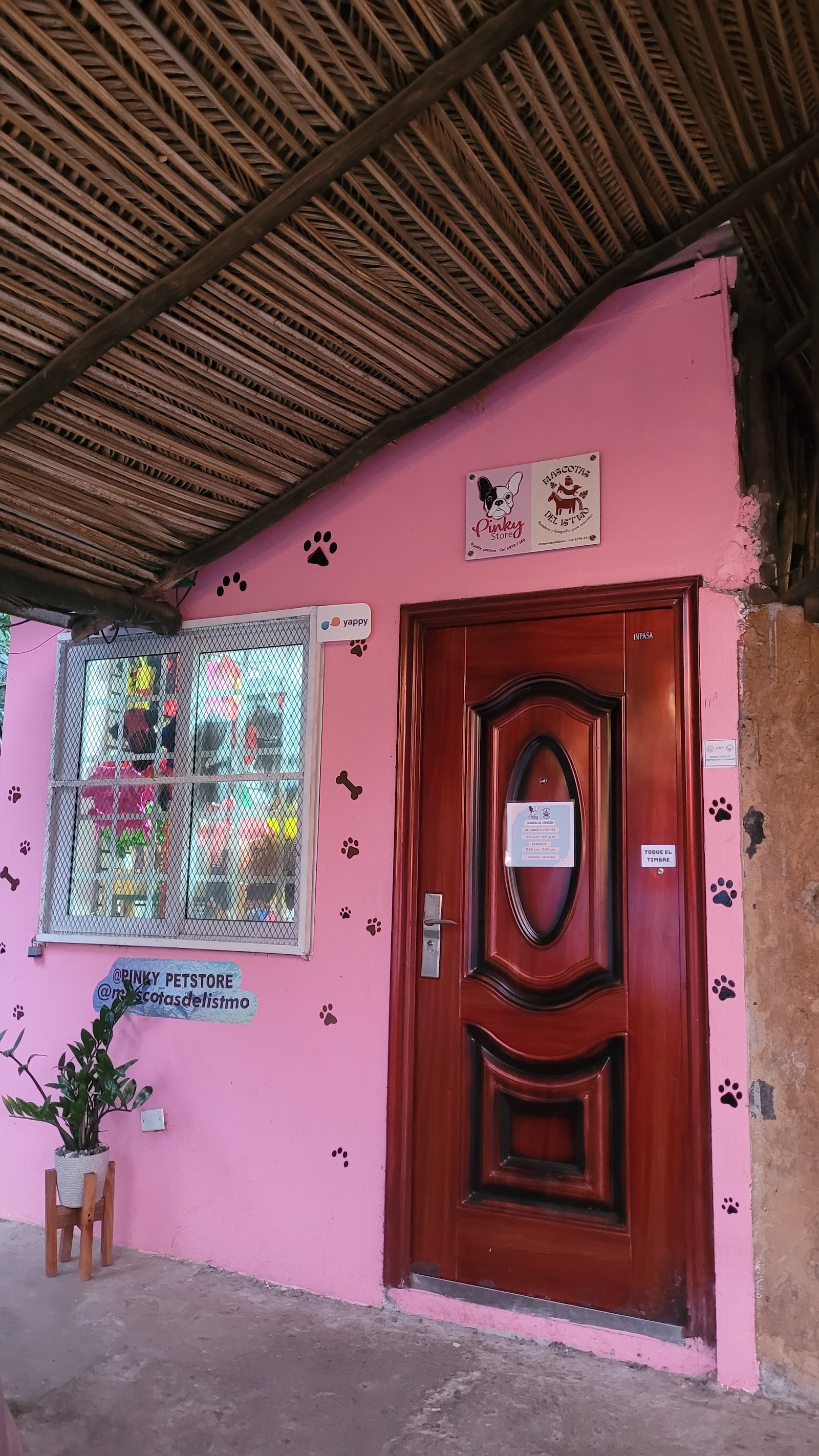Pinky Pet Store