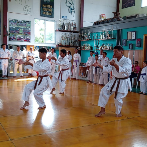 ACADEMIA DE KARATE UNSU | ESCUELA DE ARTES MARCIALES LA CHORRERA