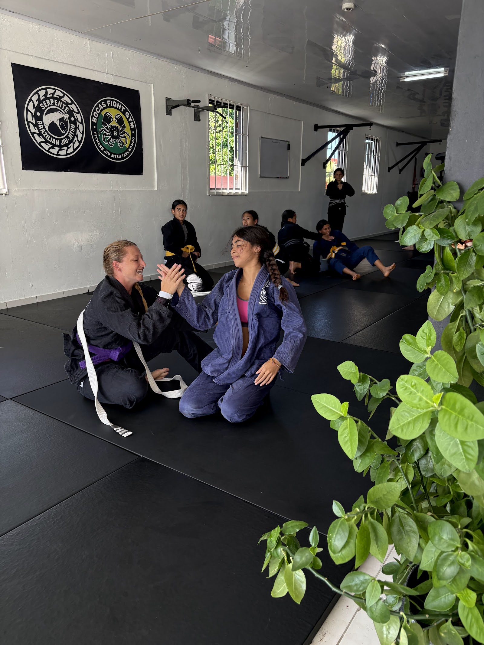 Bocas Fight Gym