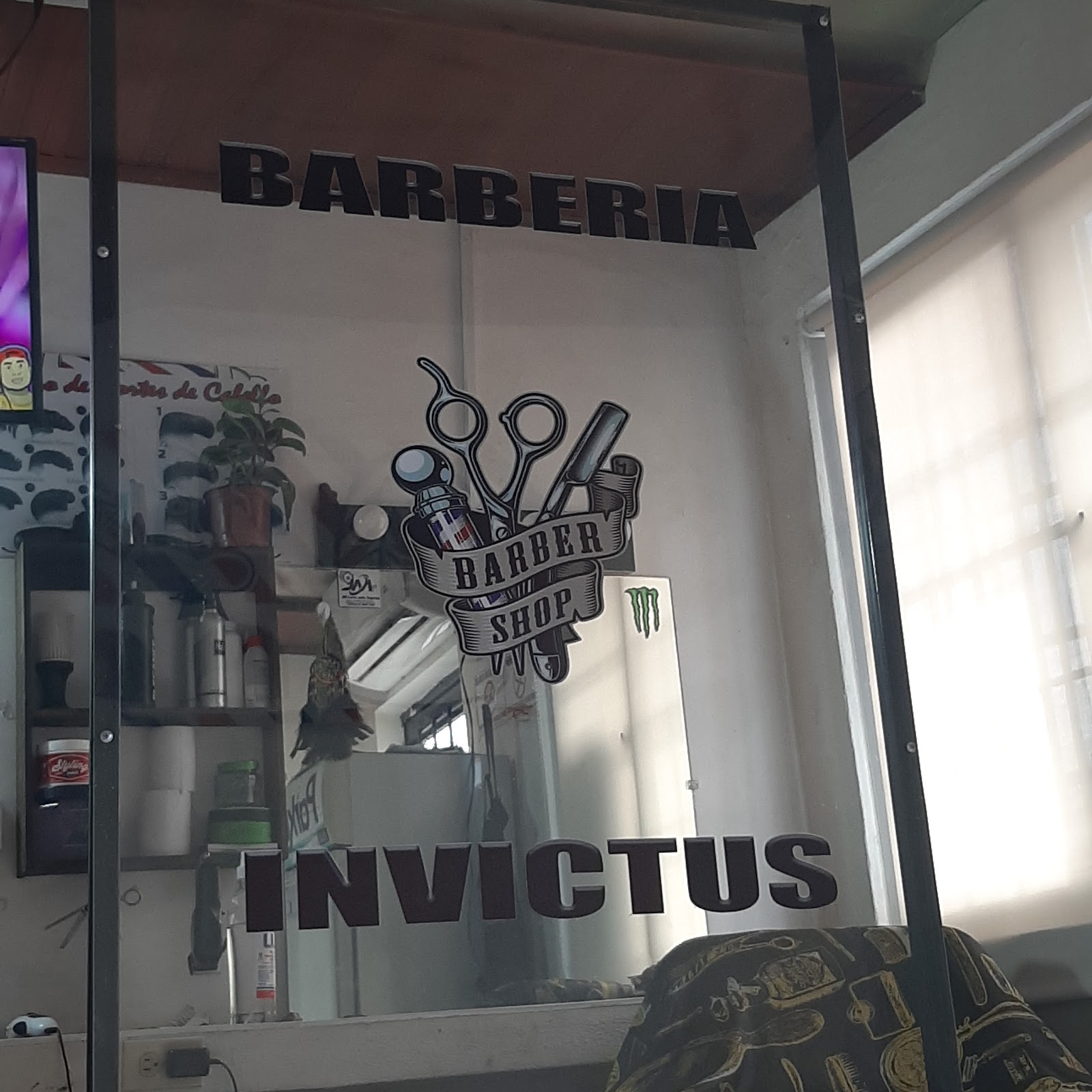 Barberia invictus