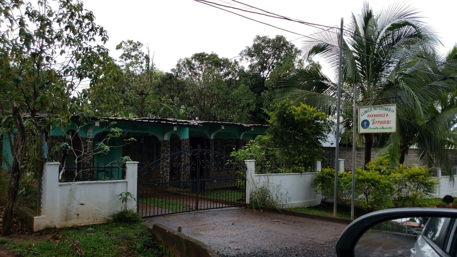 Clínica Veterinaria Mendoza