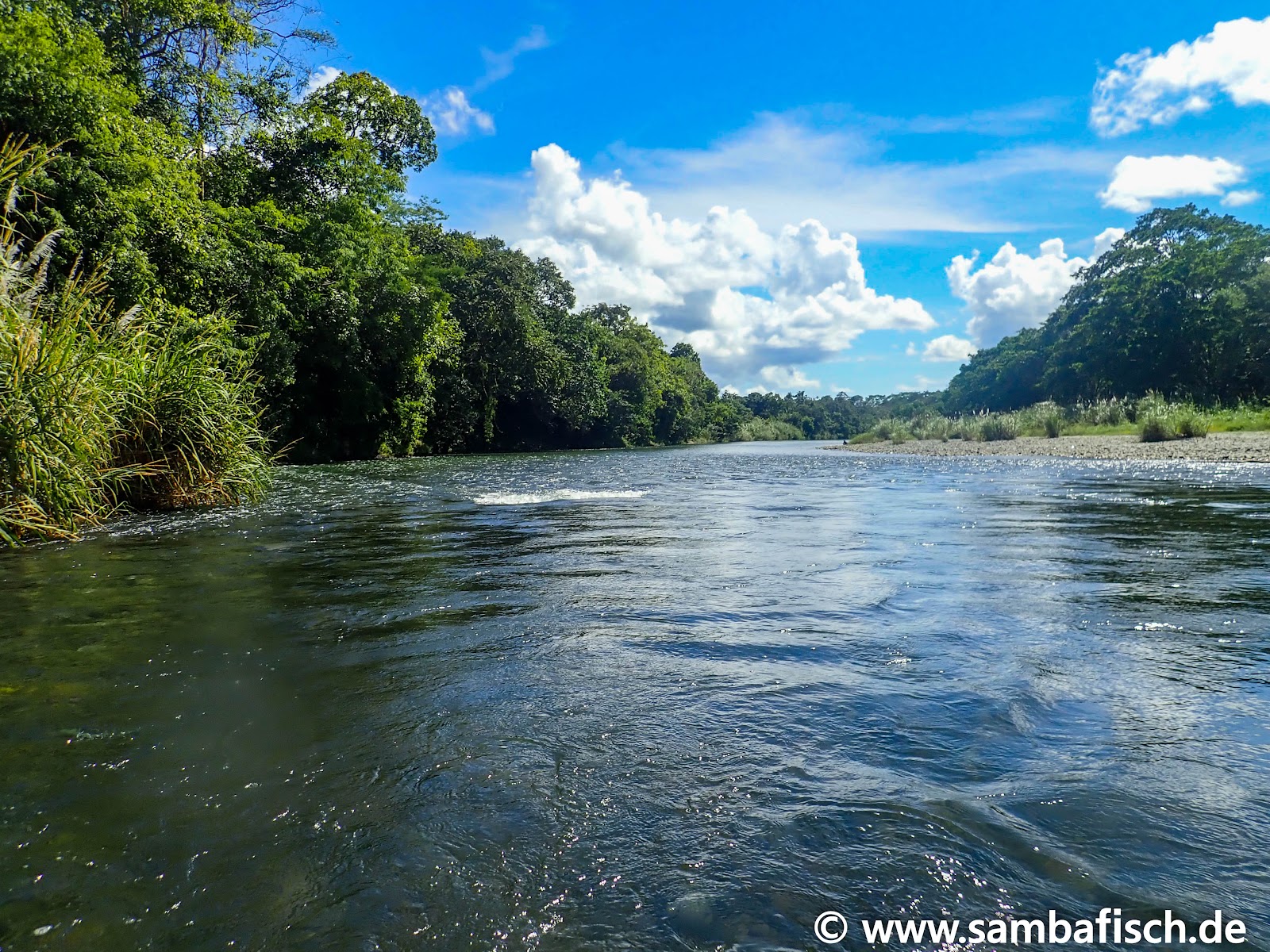 Balneario Tío Yiyo