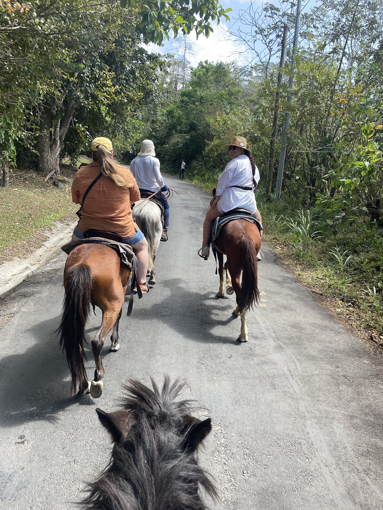 Alquiler de Caballos El Valle