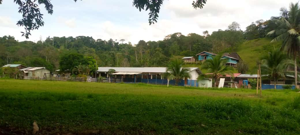 Escuela Dos Bocas