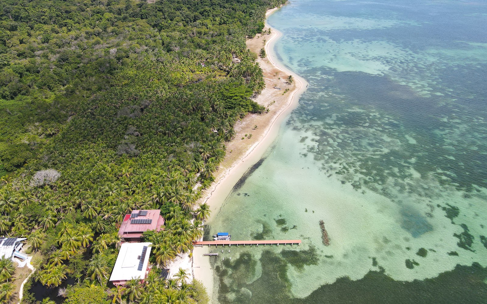 Roots Real Estate Bocas