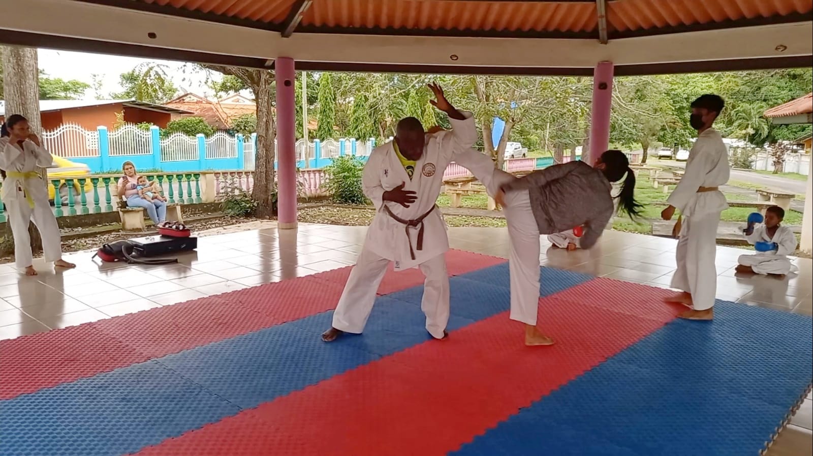 Shingitai Karate Do