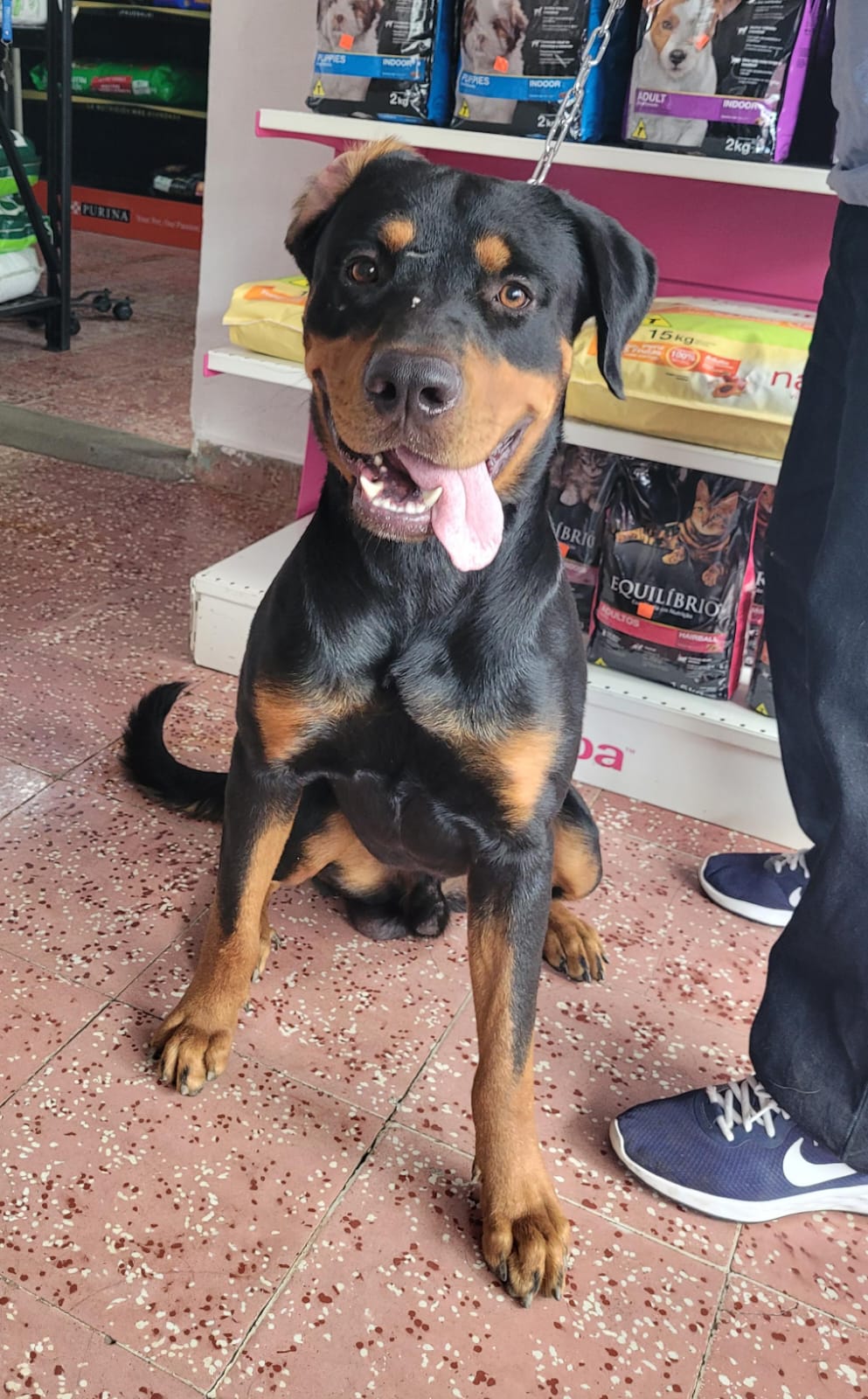 Clínica Veterinaria De Gracia