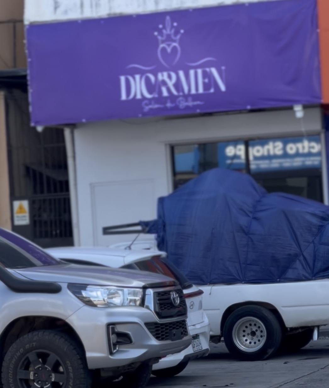 Dicarmen