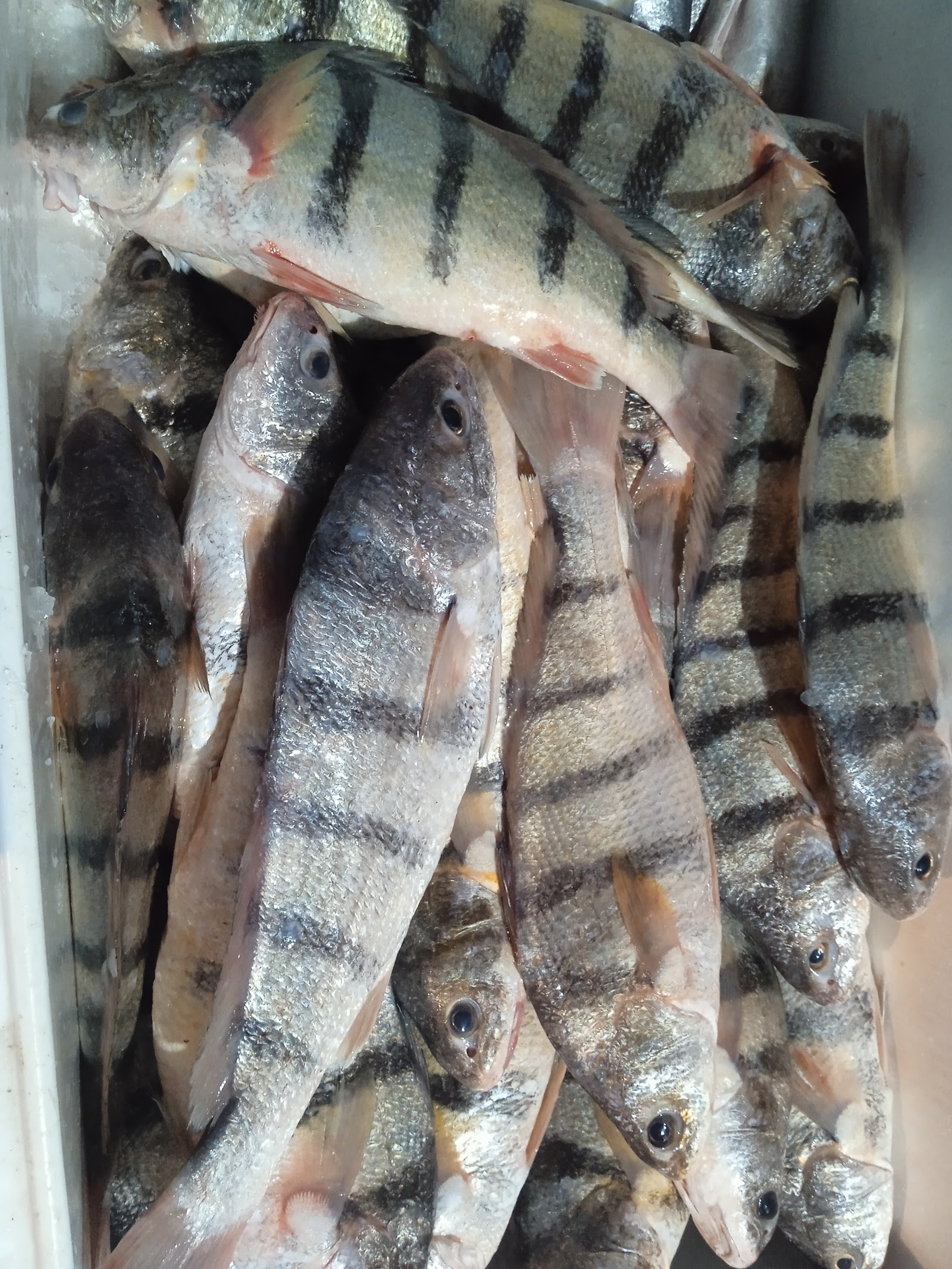 Mariscos Espinosa