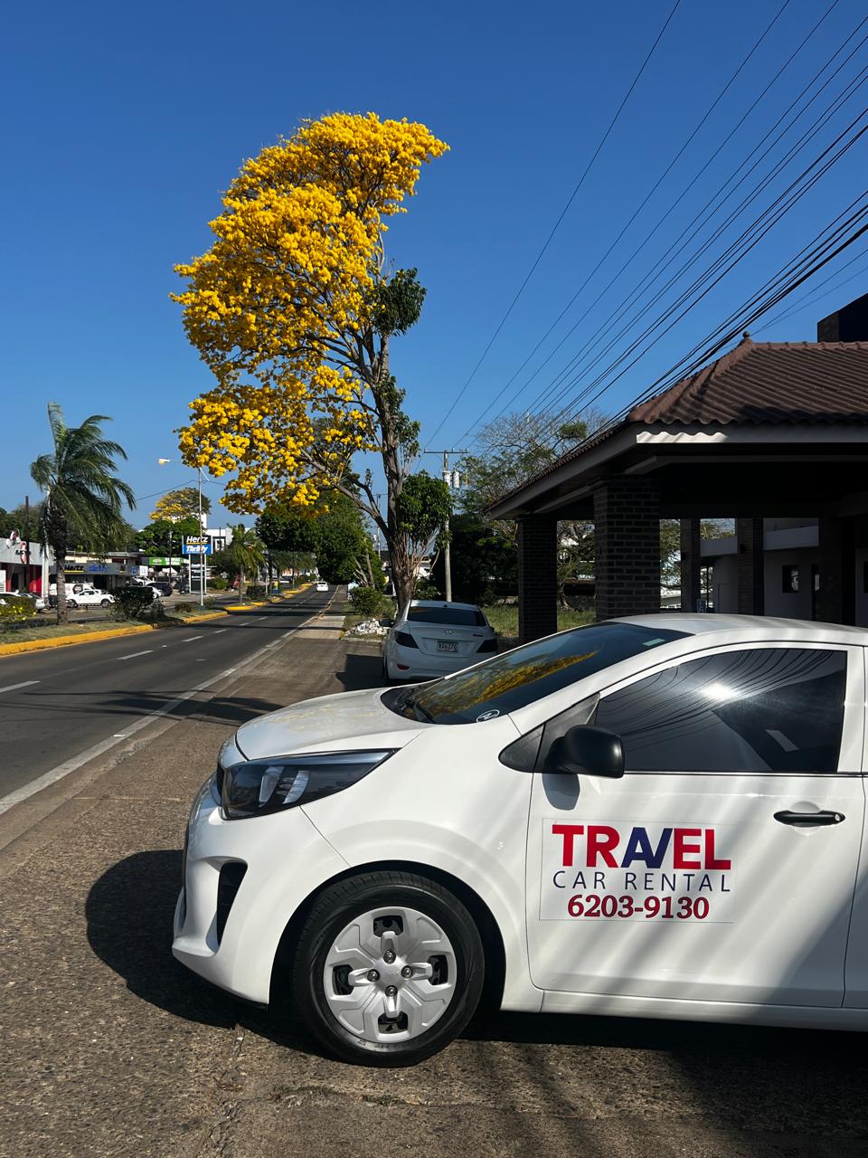 Travel Car Rental