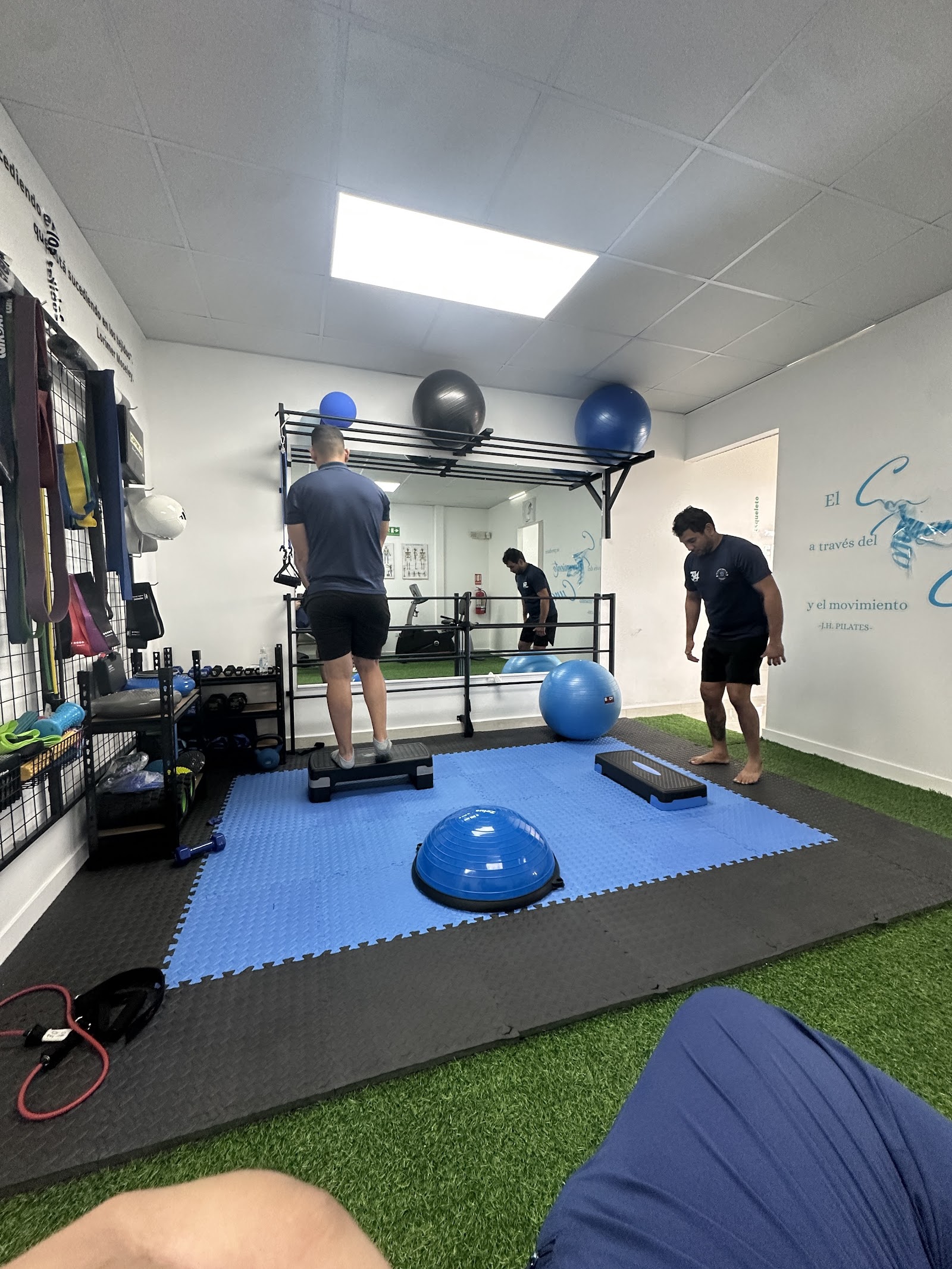 Renew Health Physiotherapy