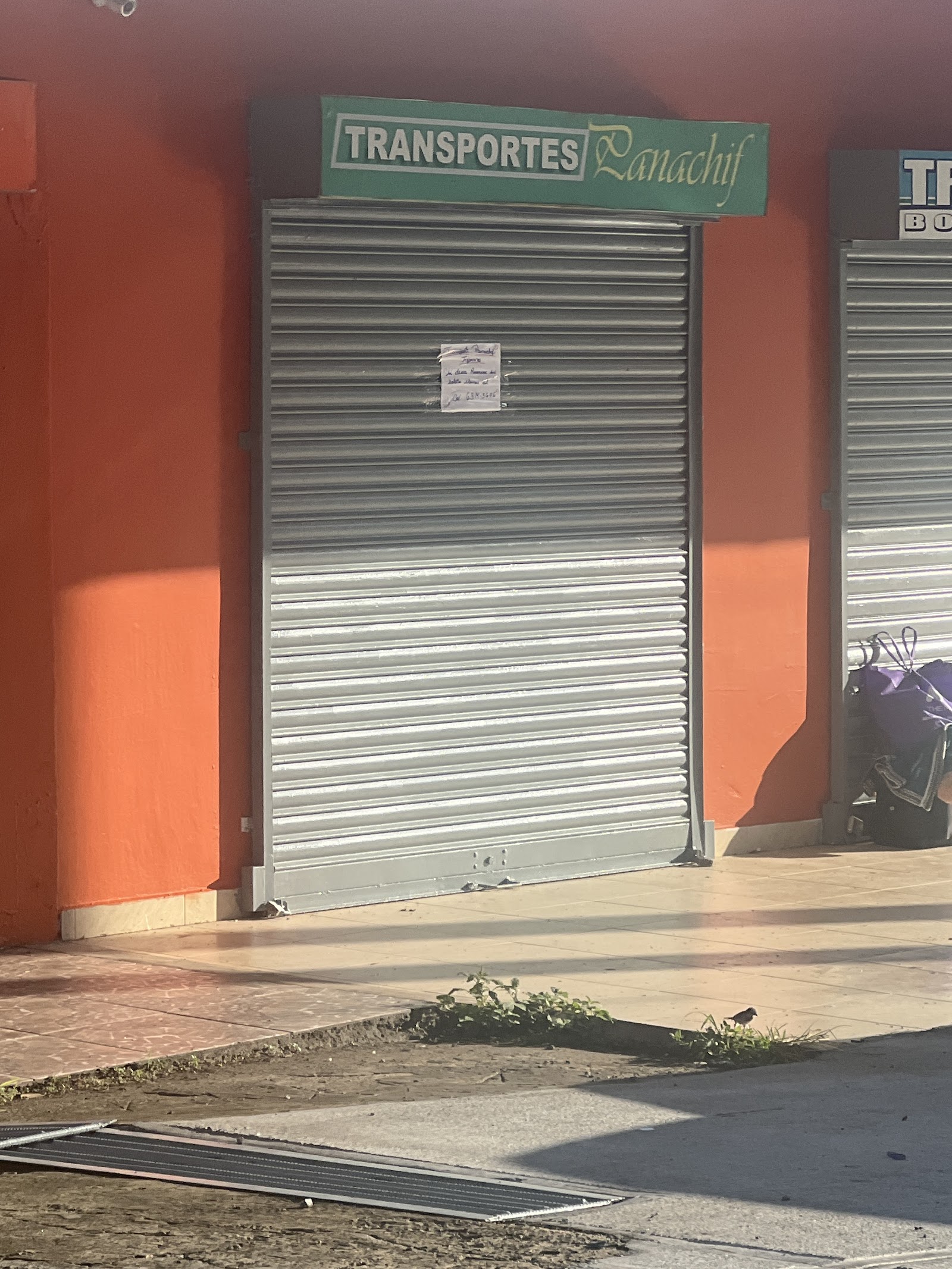 Panachif chorrera