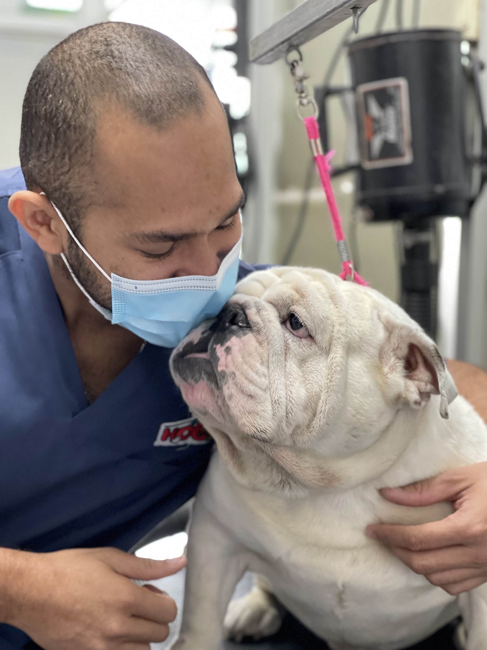 Clinica Veterinaria Pet House Arraiján