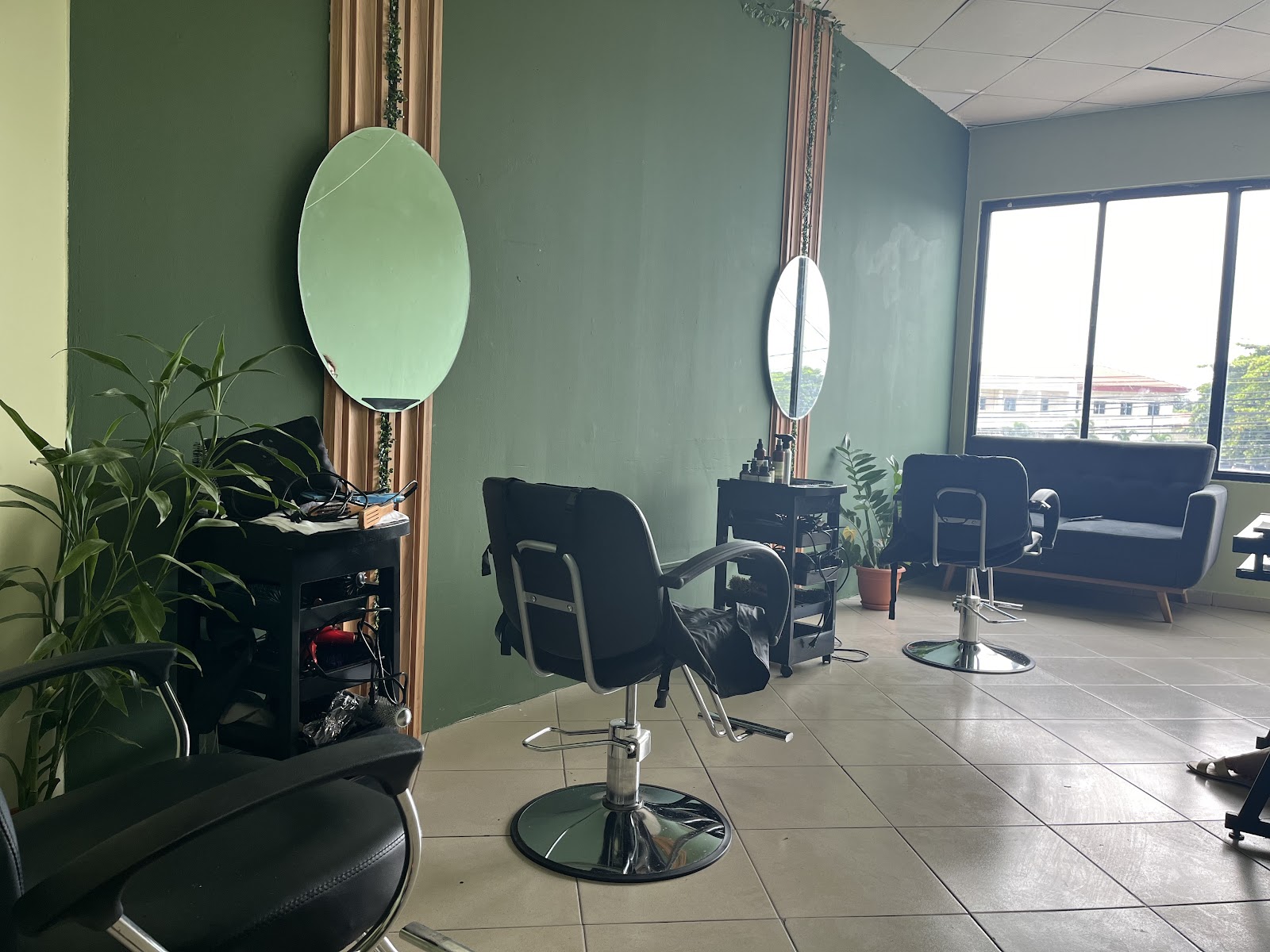 Vegan and Organic Beauty Hair