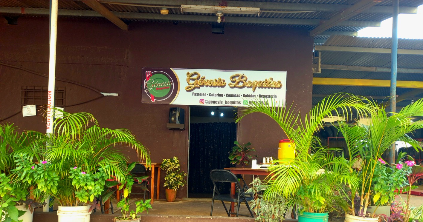 Genesis boquitas